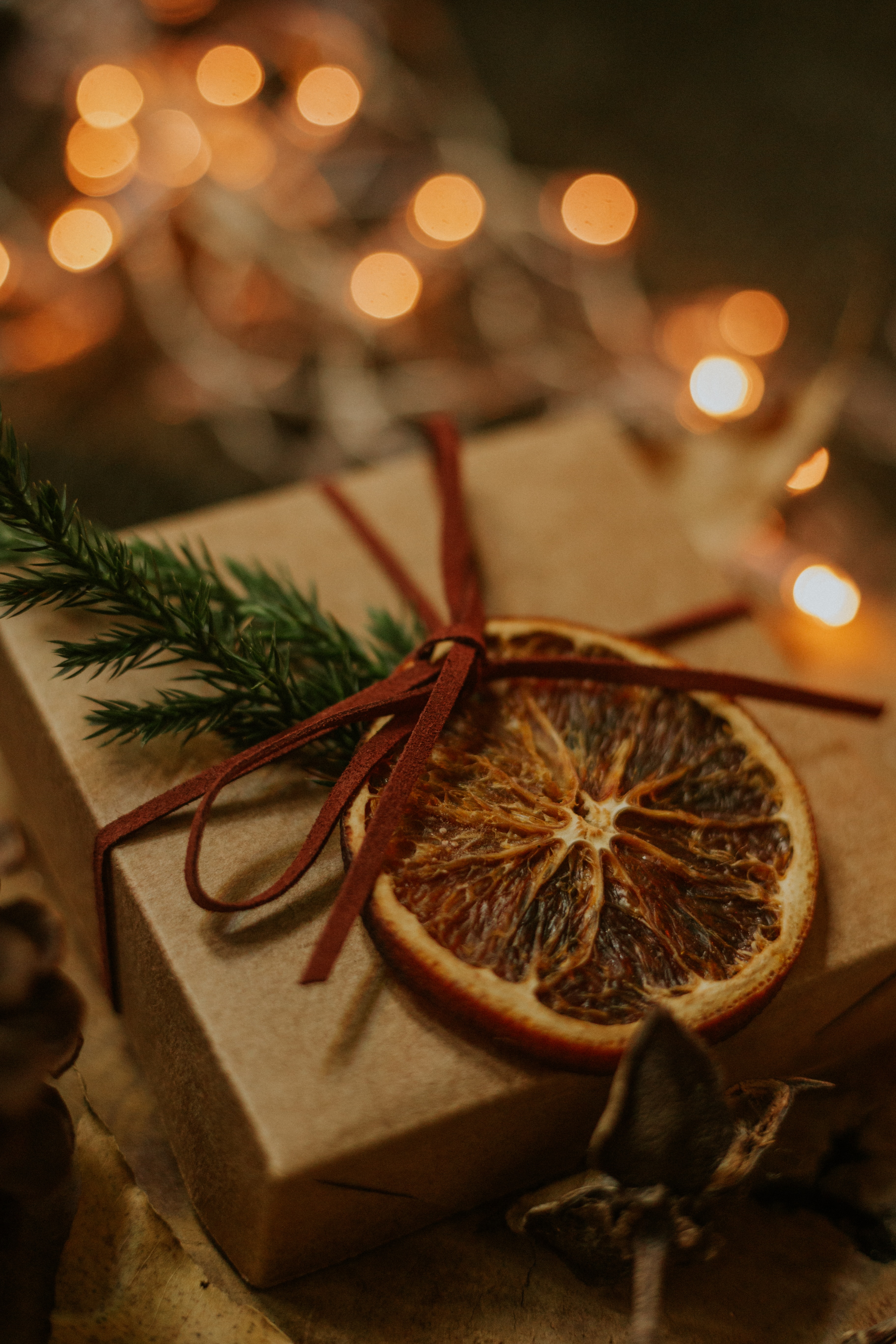 holidays, orange, branch, box, present, gift, bow, lobule, clove