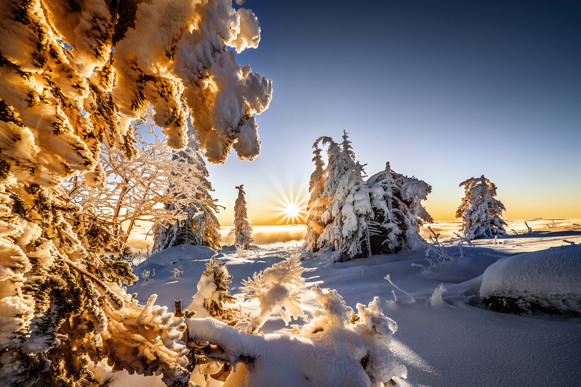 PCデスクトップに風景, 冬, 自然, 雪, 地球, 太陽, サンビーム画像を無料でダウンロード