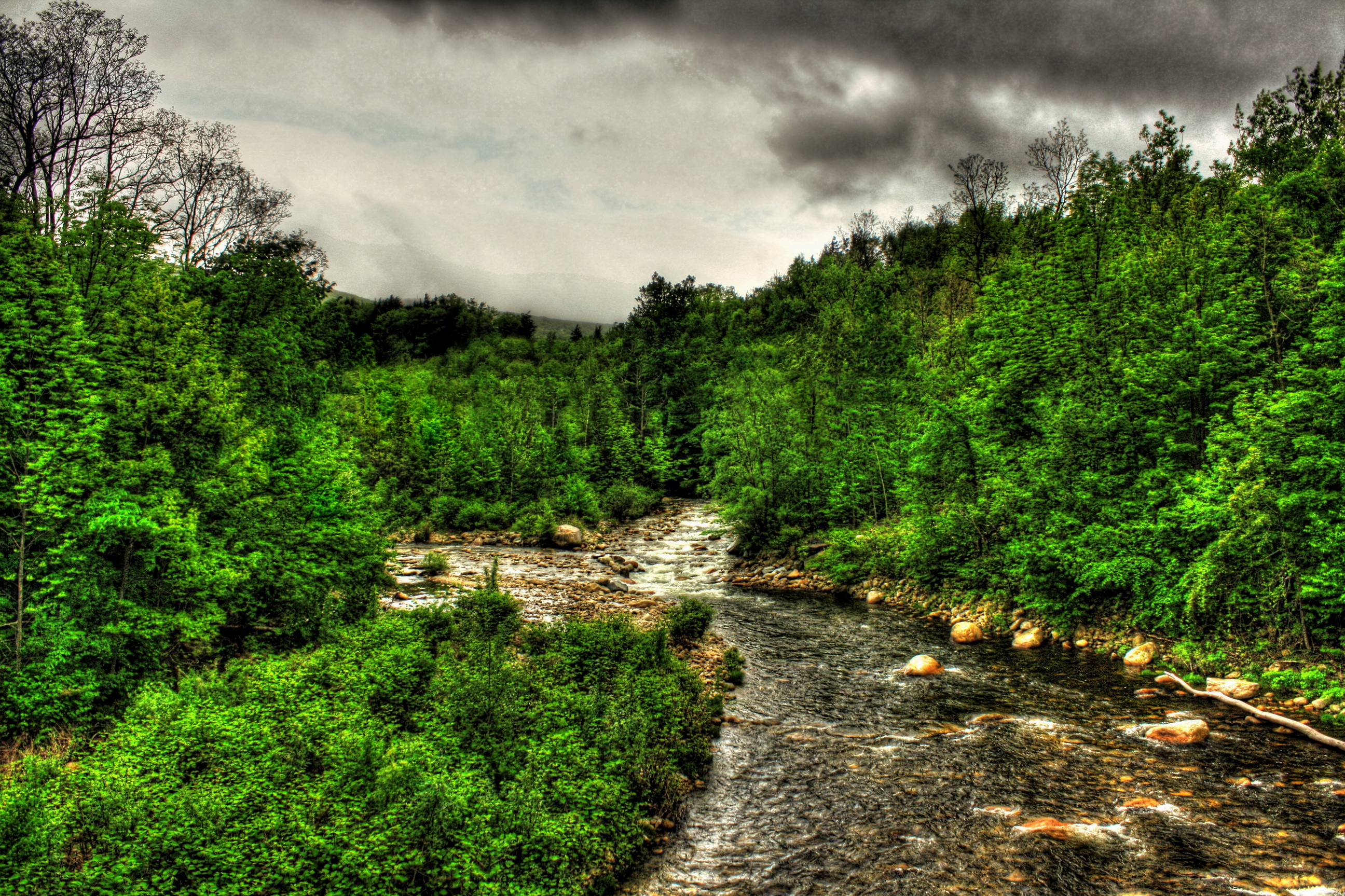 Скачать картинку Река, Лес, Дерево, Земля, Зеленый, Hdr, Фотографии в телефон бесплатно.