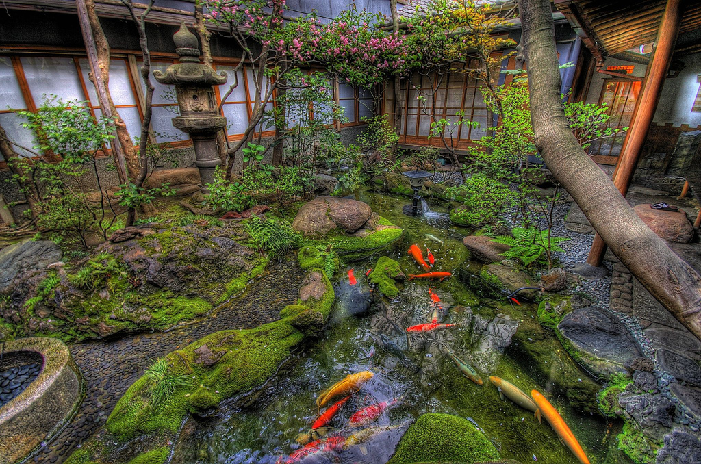 1515146 descargar fondo de pantalla carpa koi, hecho por el hombre, jardín, musgo: protectores de pantalla e imágenes gratis