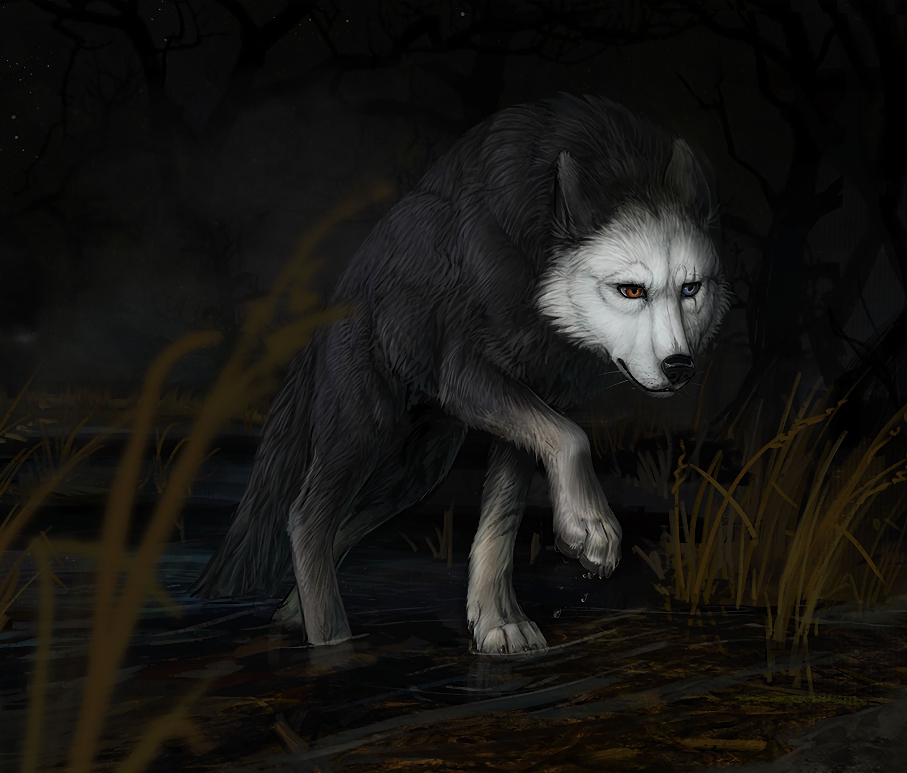 Free download wallpaper Water, Wolf, Darkness, Art on your PC desktop
