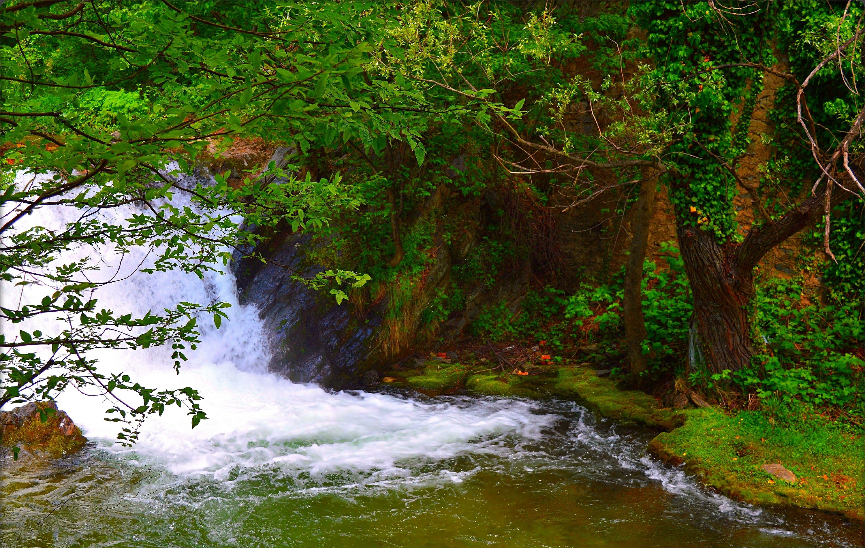 Скачать картинку Водопады, Водопад, Дерево, Зеленый, Земля/природа в телефон бесплатно.