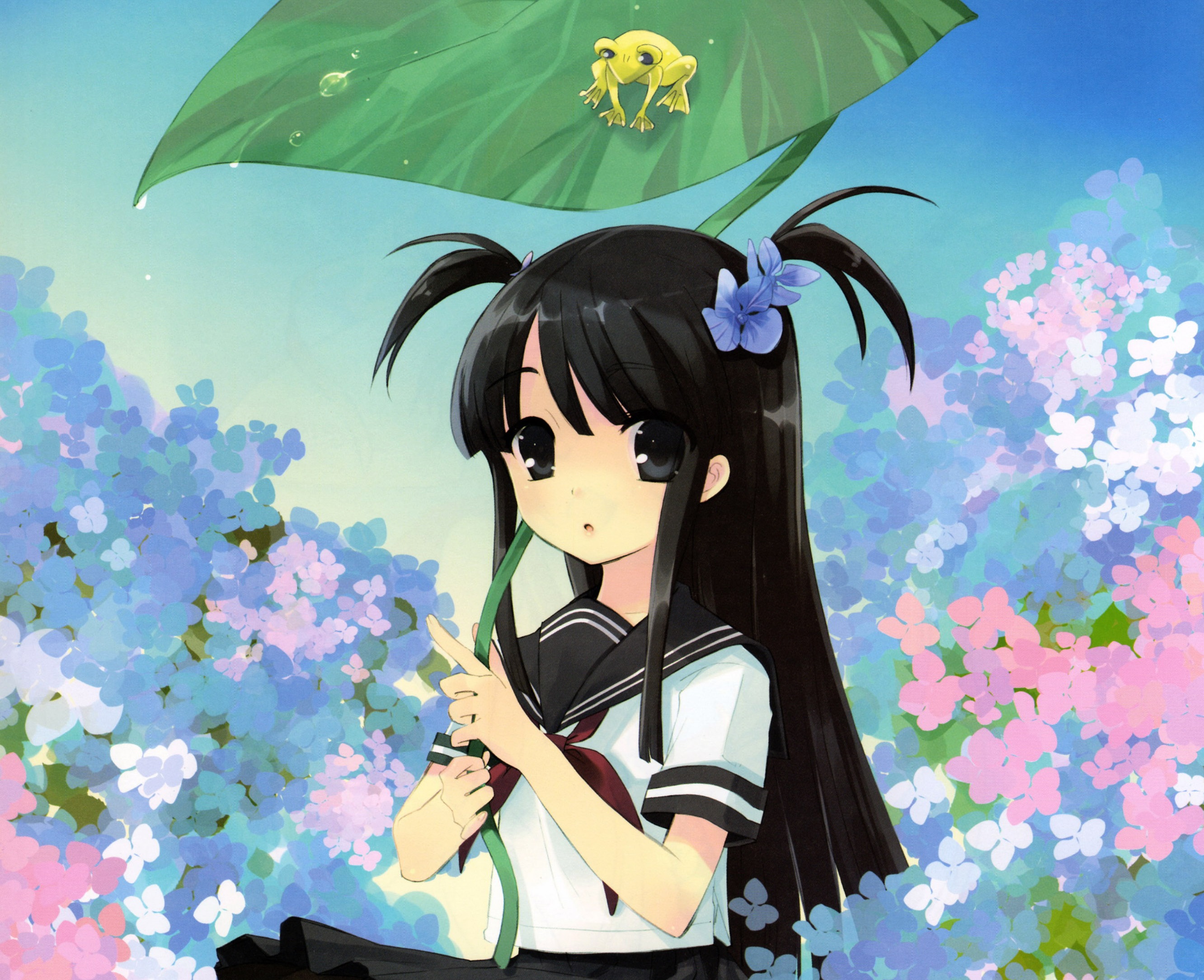 Laden Sie das Blume, Blatt, Frosch, Original, Animes, Schwarzes Haar, Lange Haare-Bild kostenlos auf Ihren PC-Desktop herunter