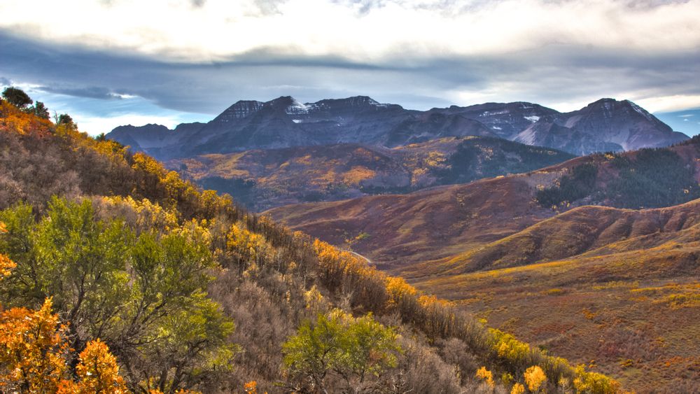 Hd Desktop Wallpaper: Trees, Mountains, Relief, Slope, Nature Download 