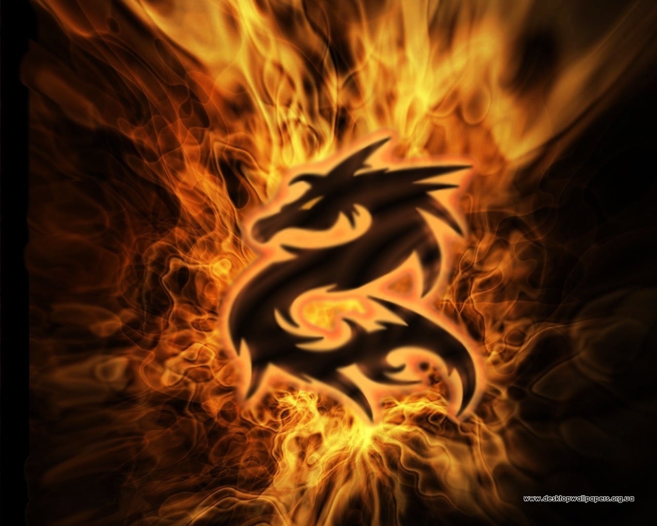 dragons, logos, background, fire, orange