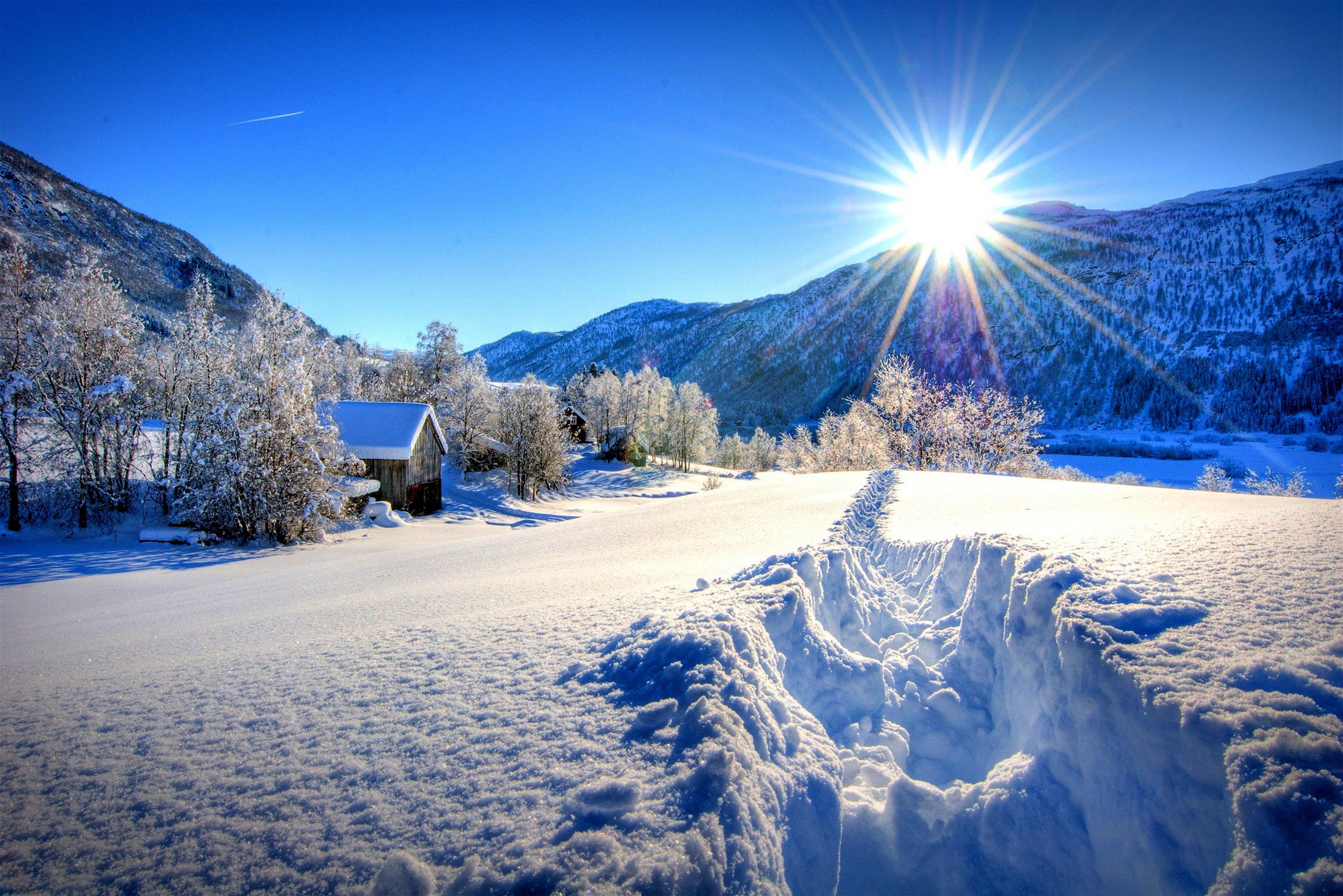 Laden Sie das Morgendämmerung, Wald, Mountains, Winter, Natur-Bild kostenlos auf Ihren PC-Desktop herunter