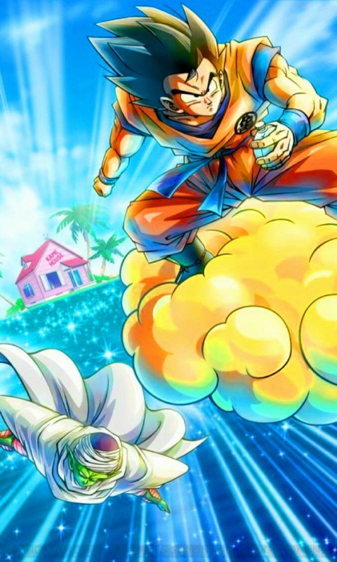 Descarga gratuita de fondo de pantalla para móvil de Dragon Ball Z, Esfera Del Dragón, Animado, Goku, Piccolo (Dragon Ball).
