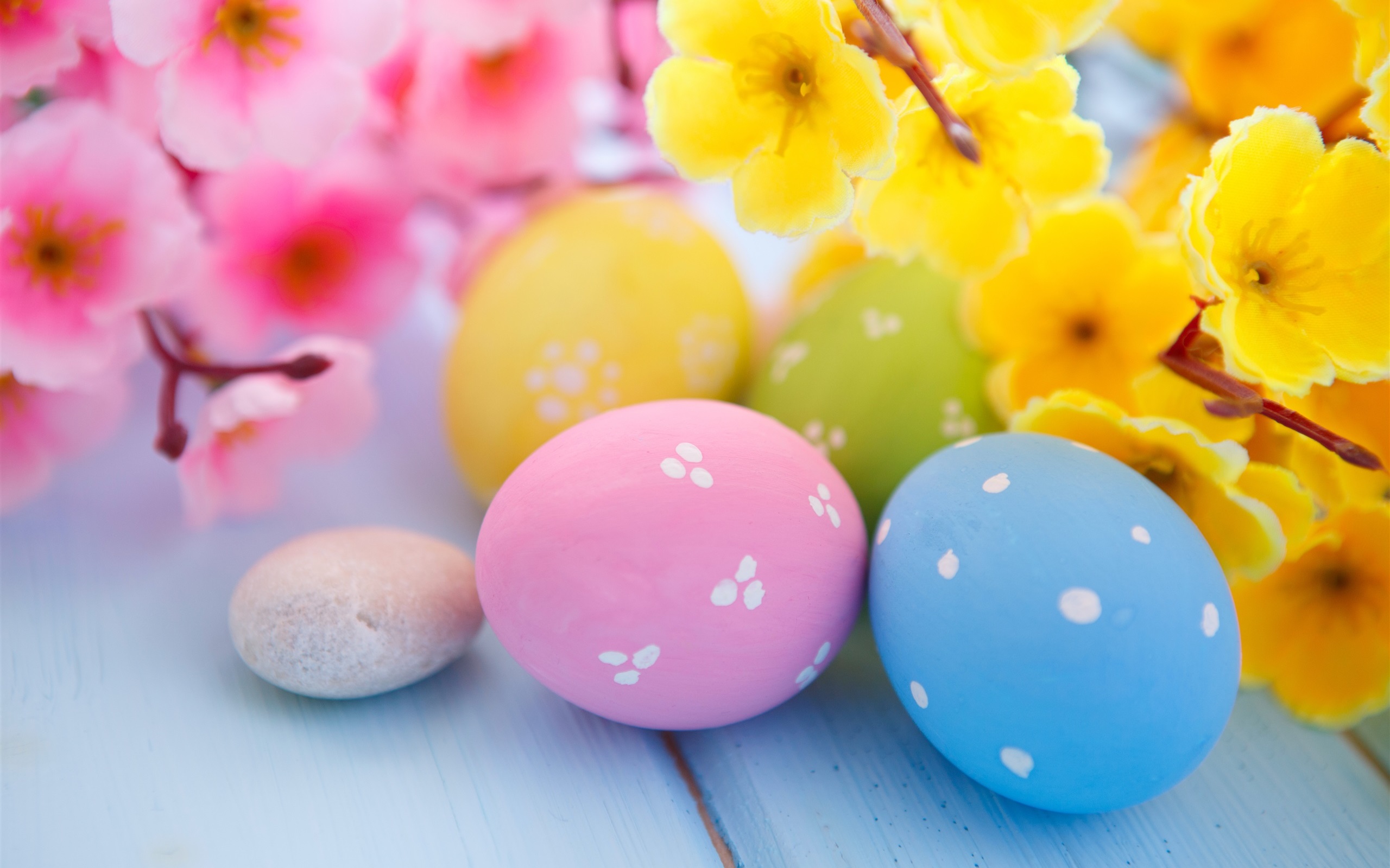 Download mobile wallpaper Easter, Holiday, Colors, Colorful, Egg, Yellow Flower, Blossom, Pink Flower, Easter Egg for free.