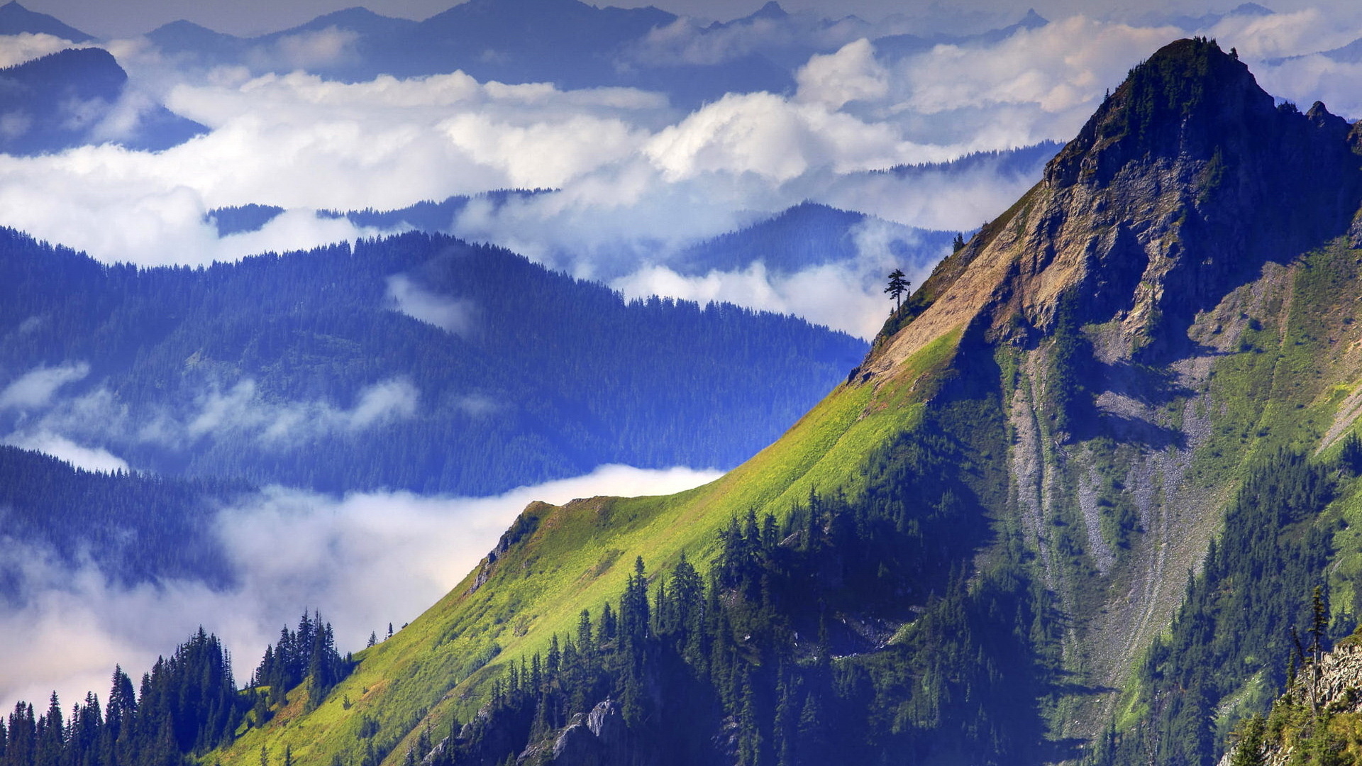 Скачать картинку Пейзаж, Гора, Лес, Туман, Облако, Земля/природа в телефон бесплатно.