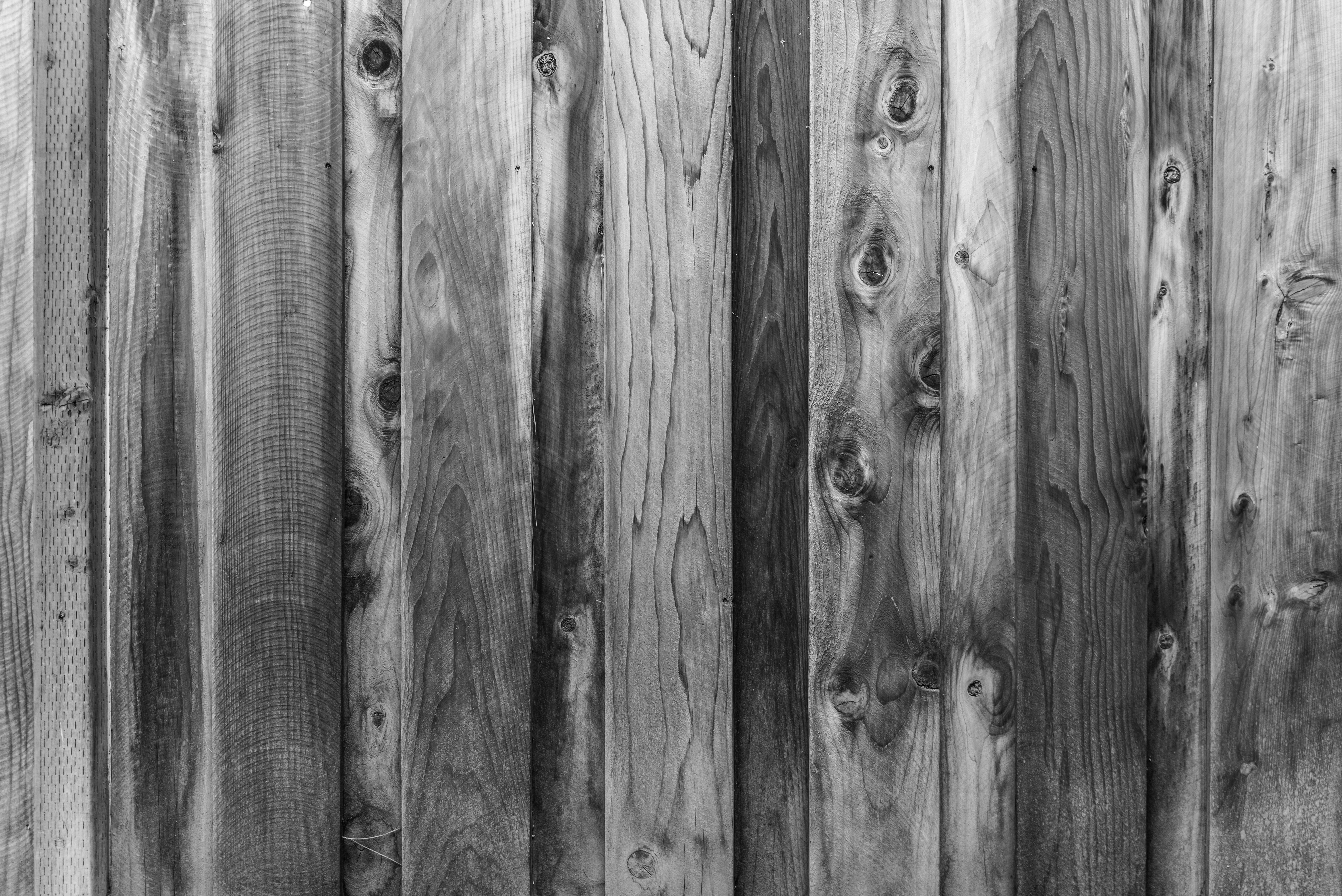 Free download wallpaper Tree, Bw, Wood, Wooden, Chb, Textures, Texture on your PC desktop
