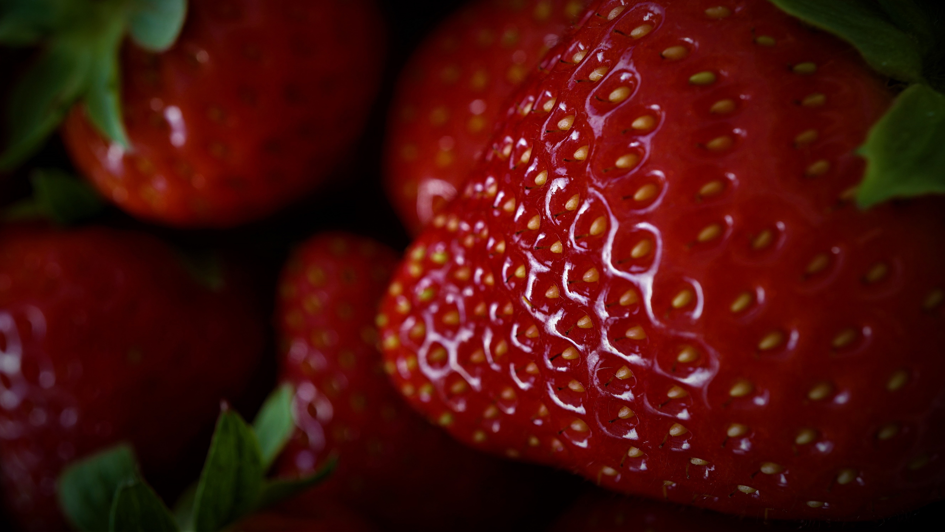 Handy-Wallpaper Erdbeere, Frucht, Nahrungsmittel, Früchte kostenlos herunterladen.