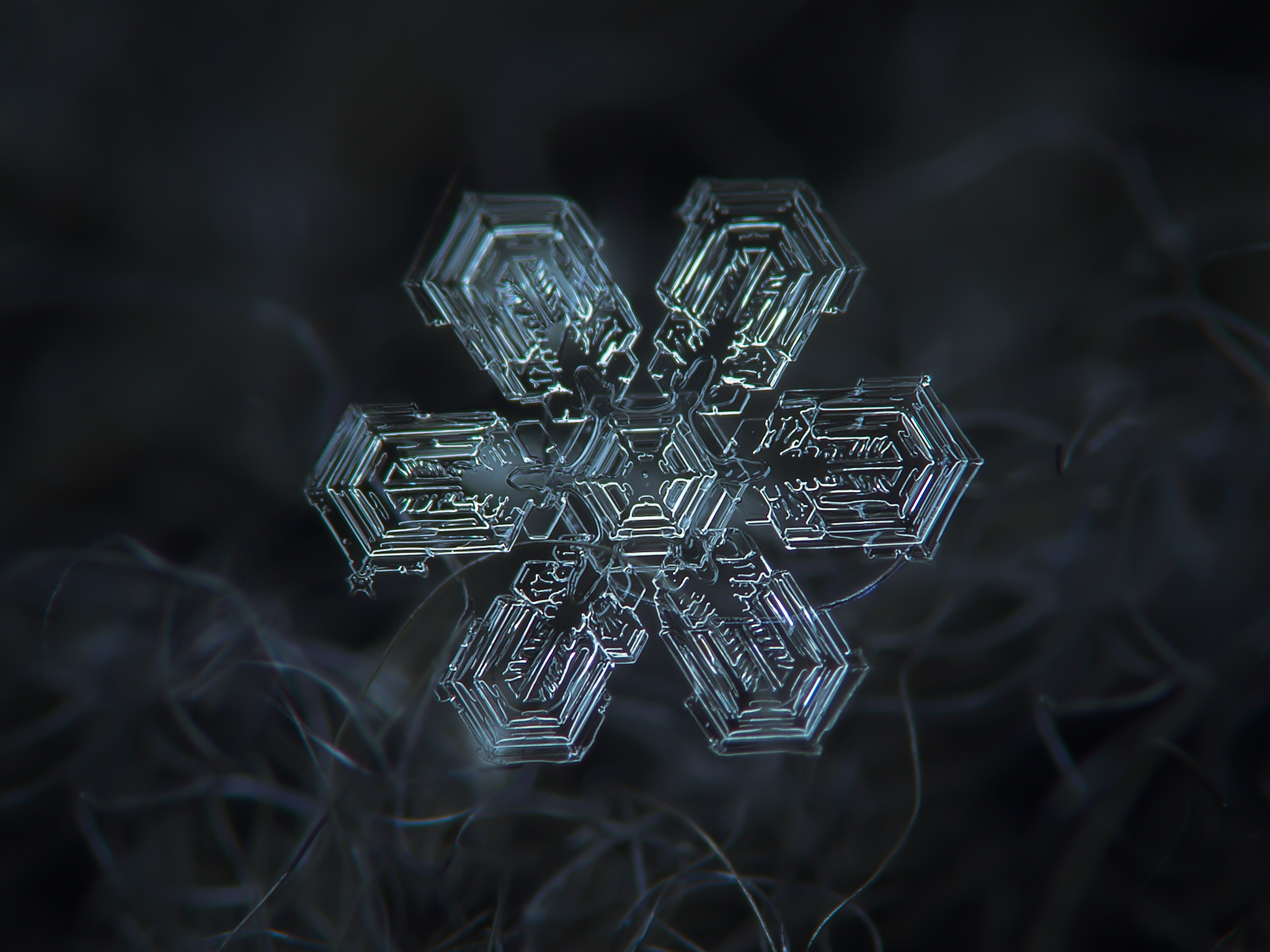 Baixe gratuitamente a imagem Macro, Floco De Neve, Terra/natureza na área de trabalho do seu PC