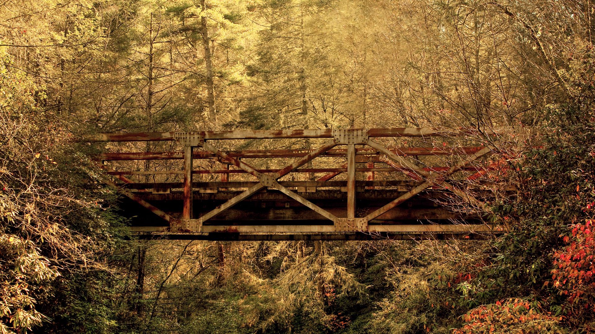 Скачать обои бесплатно Перекладины, Мост, Природа, Деревья, Лес картинка на рабочий стол ПК