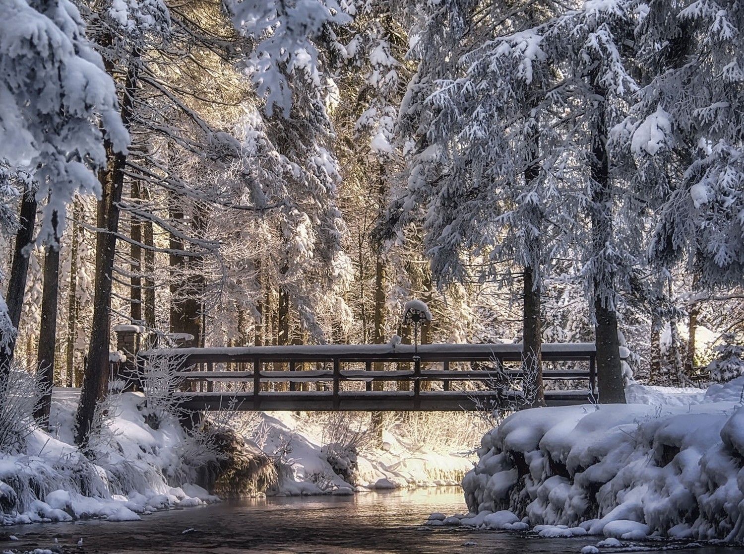 Free download wallpaper Winter, Bridges, Snow, Tree, Bridge, Man Made on your PC desktop