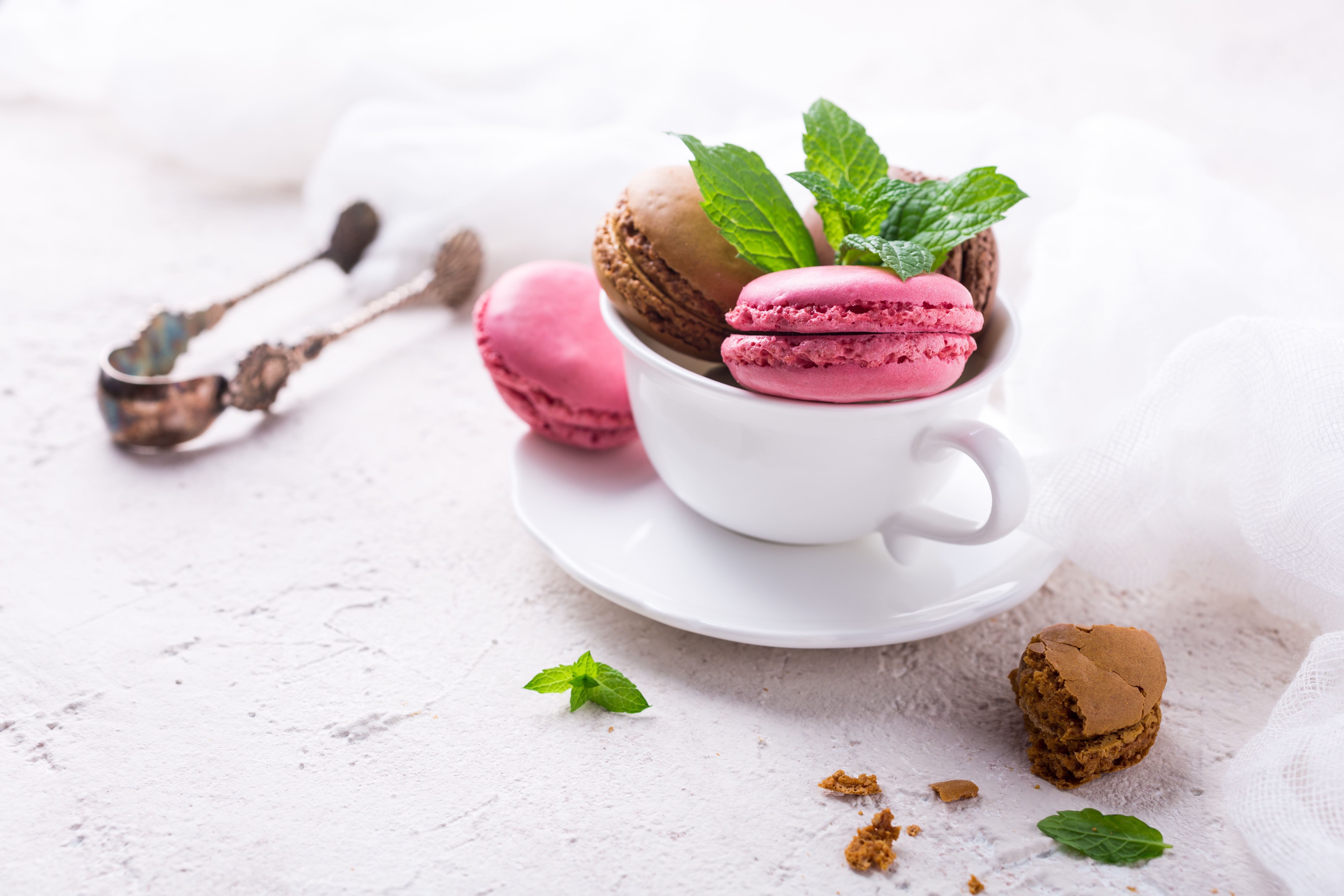 Téléchargez gratuitement l'image Nourriture, Macaron, Nature Morte, Tasse sur le bureau de votre PC