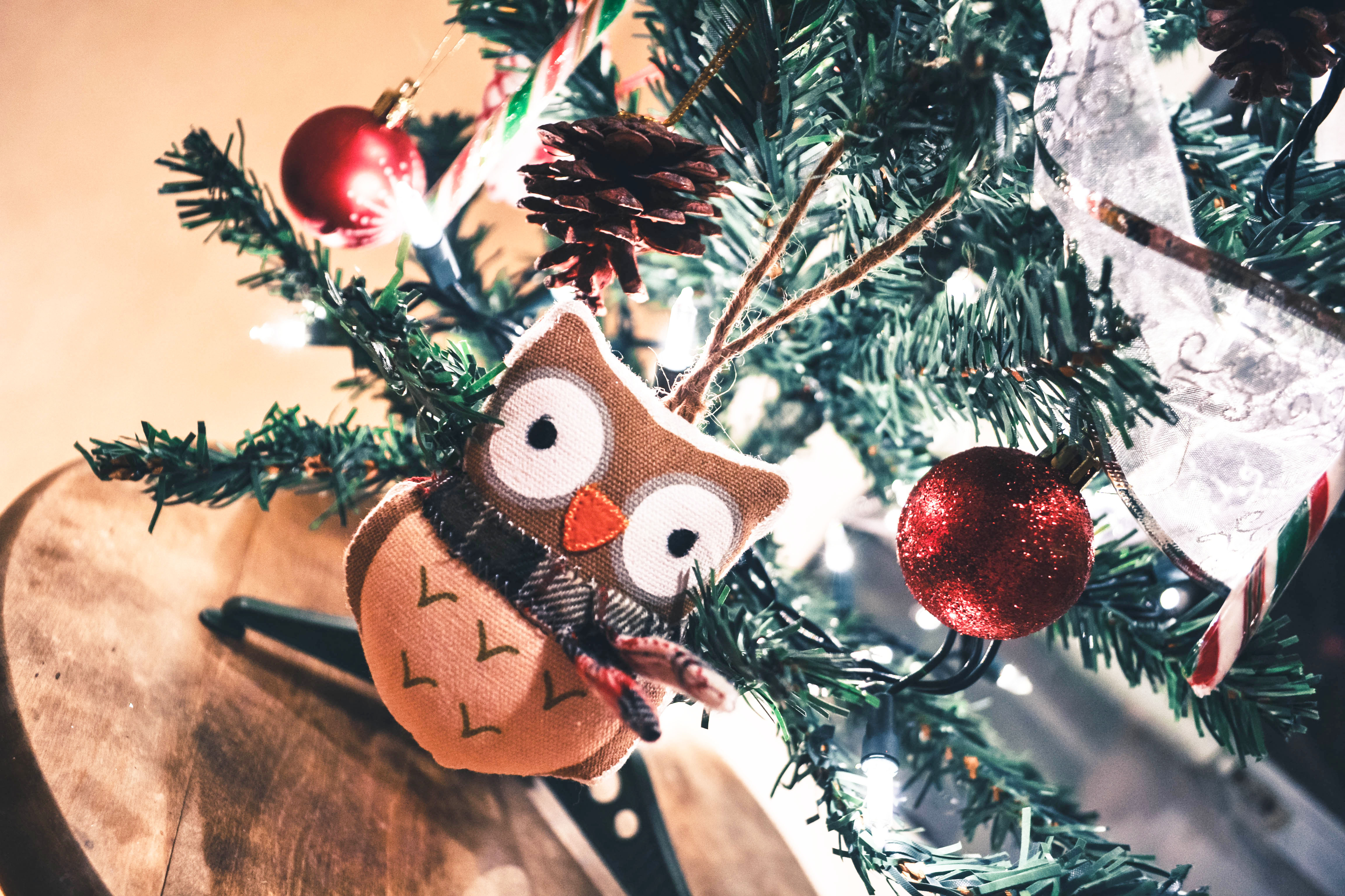 Handy-Wallpaper Spielzeug, Neues Jahr, Feiertage, Neujahr, Eule, Weihnachten kostenlos herunterladen.