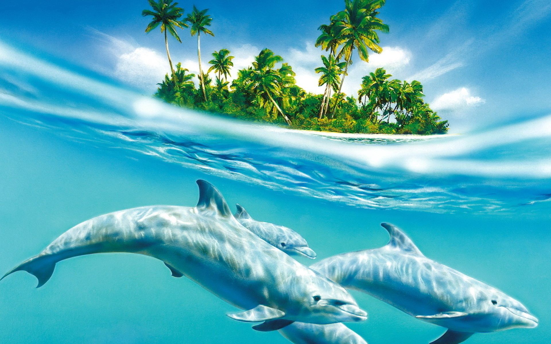 98617 скачать обои пальмы, дельфин, волны, море, животные, деревья, ветер - заставки и картинки бесплатно