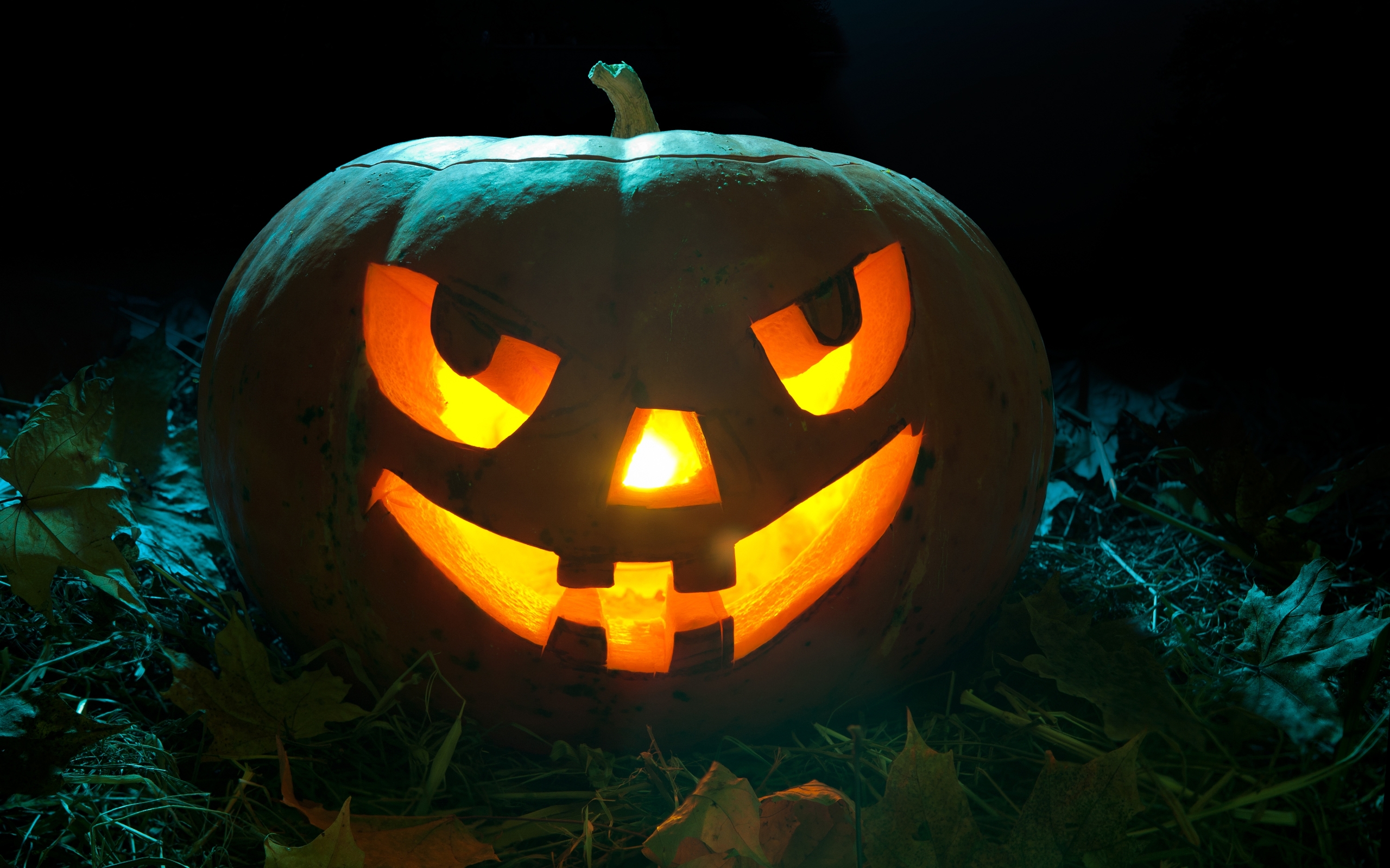 Laden Sie das Feiertage, Halloween, Kürbis-Bild kostenlos auf Ihren PC-Desktop herunter