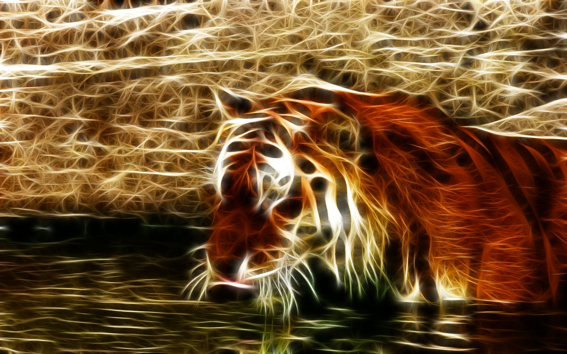 Free download wallpaper Cats, Tiger, Animal on your PC desktop