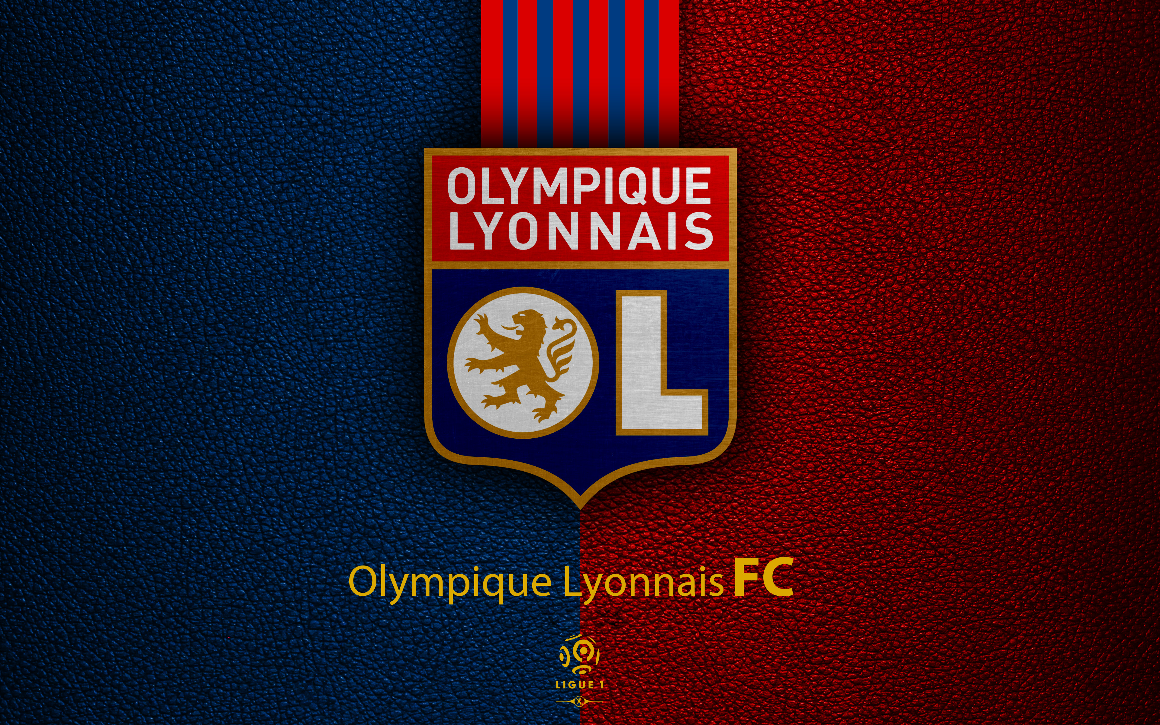 Laden Sie Olympique Lyon HD-Desktop-Hintergründe herunter