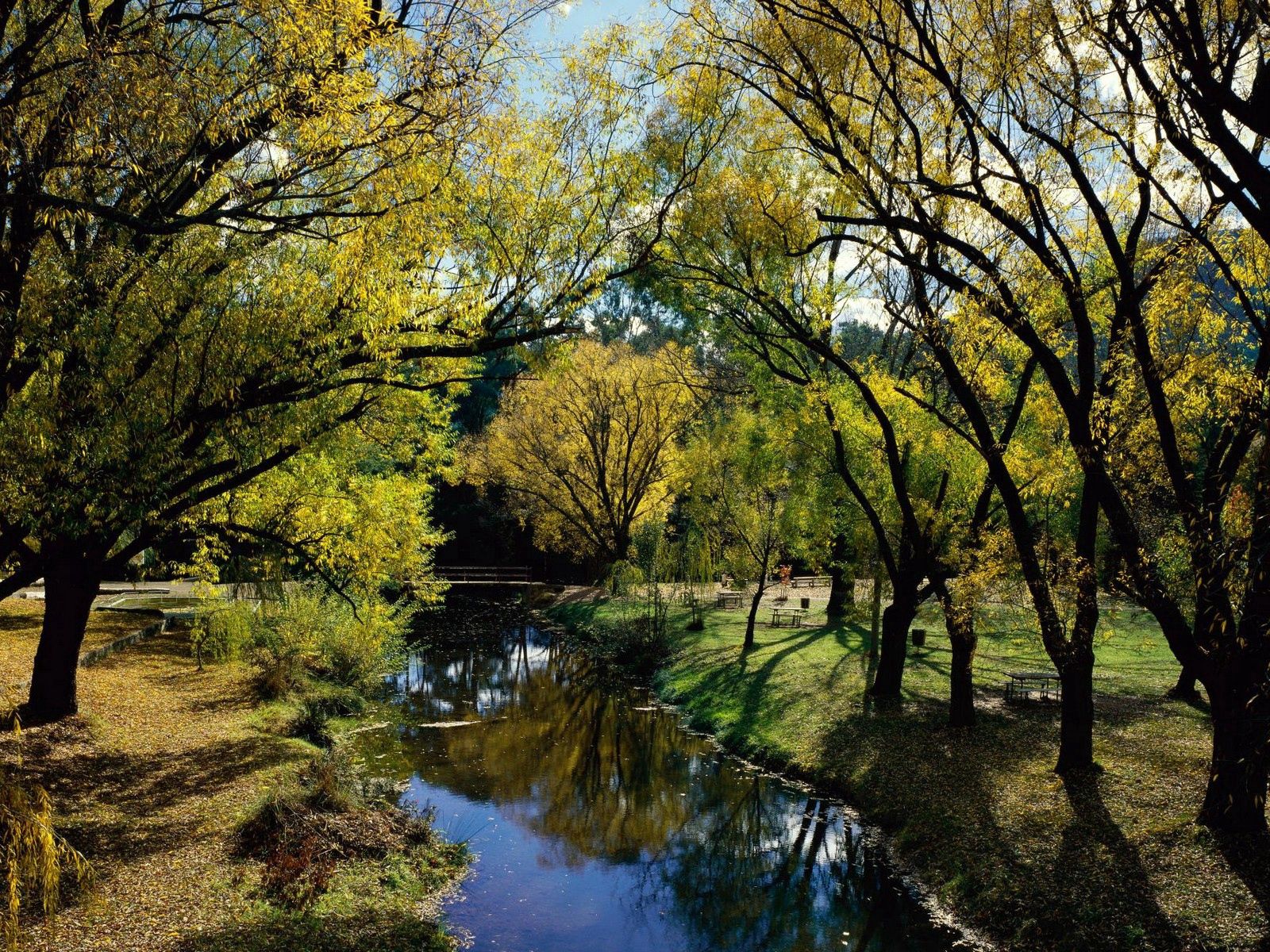 Скачать картинку Деревья, Река, Природа, Отдых, Австралия, Парк, Осень в телефон бесплатно.