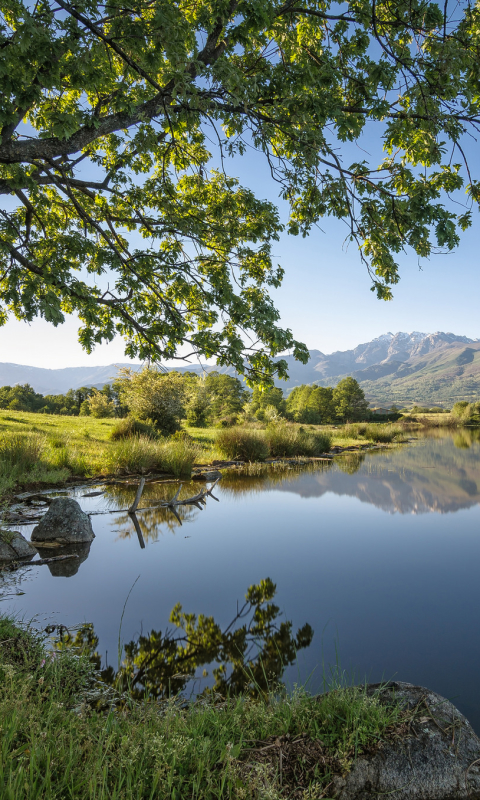 Descarga gratuita de fondo de pantalla para móvil de Paisaje, Naturaleza, Lagos, Lago, Reflexión, Árbol, Tierra/naturaleza, Reflejo.