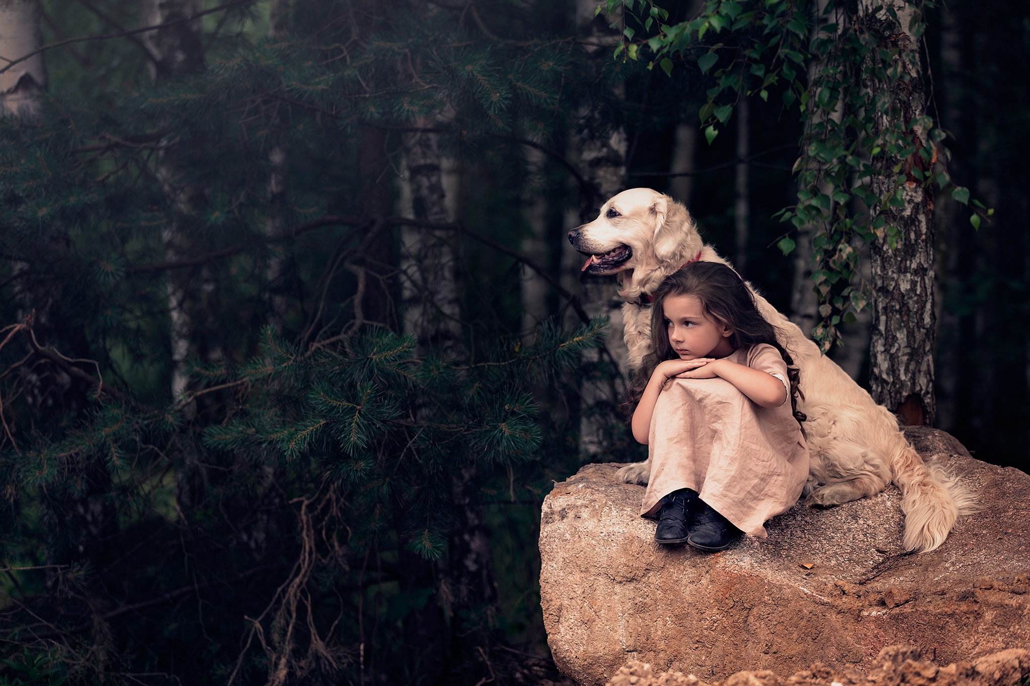 Handy-Wallpaper Hund, Kind, Fotografie, Labrador Retriever, Kleines Mädchen kostenlos herunterladen.