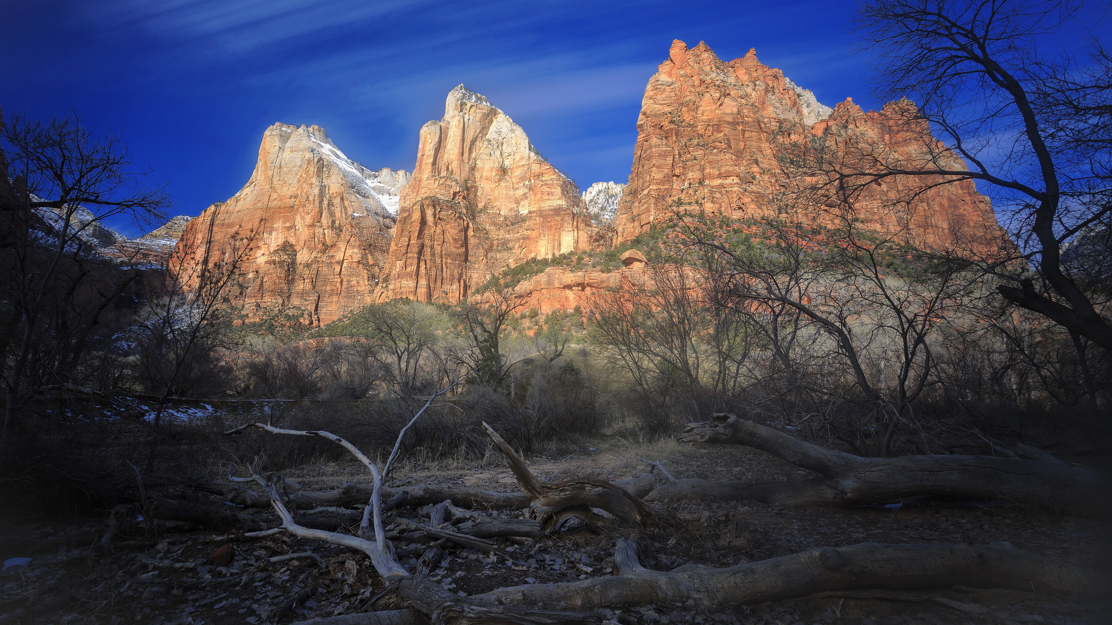 earth, zion national park, cliff, mountain, sky, tree, national park