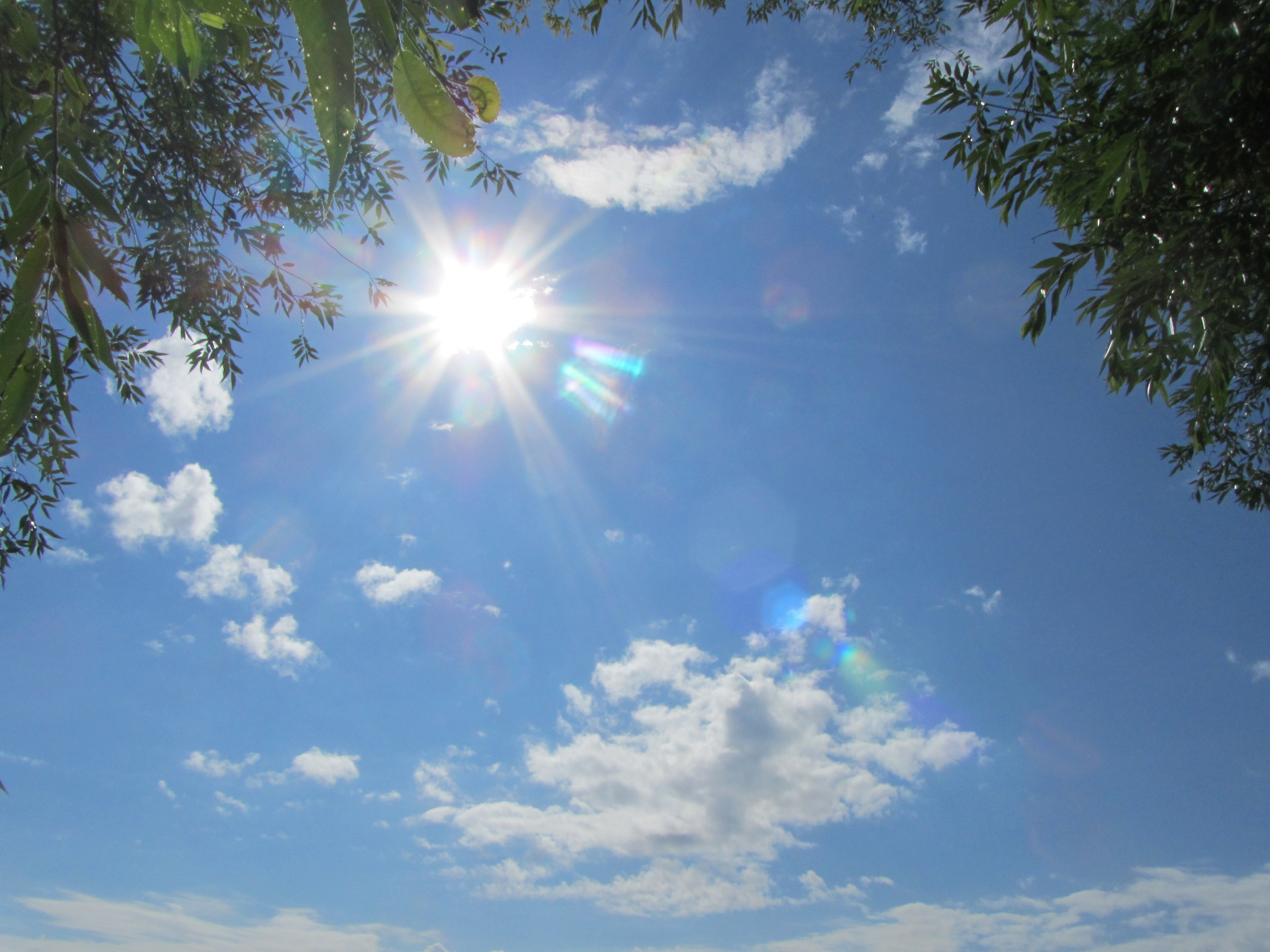 Téléchargez des papiers peints mobile Rayon De Soleil, Terre/nature gratuitement.