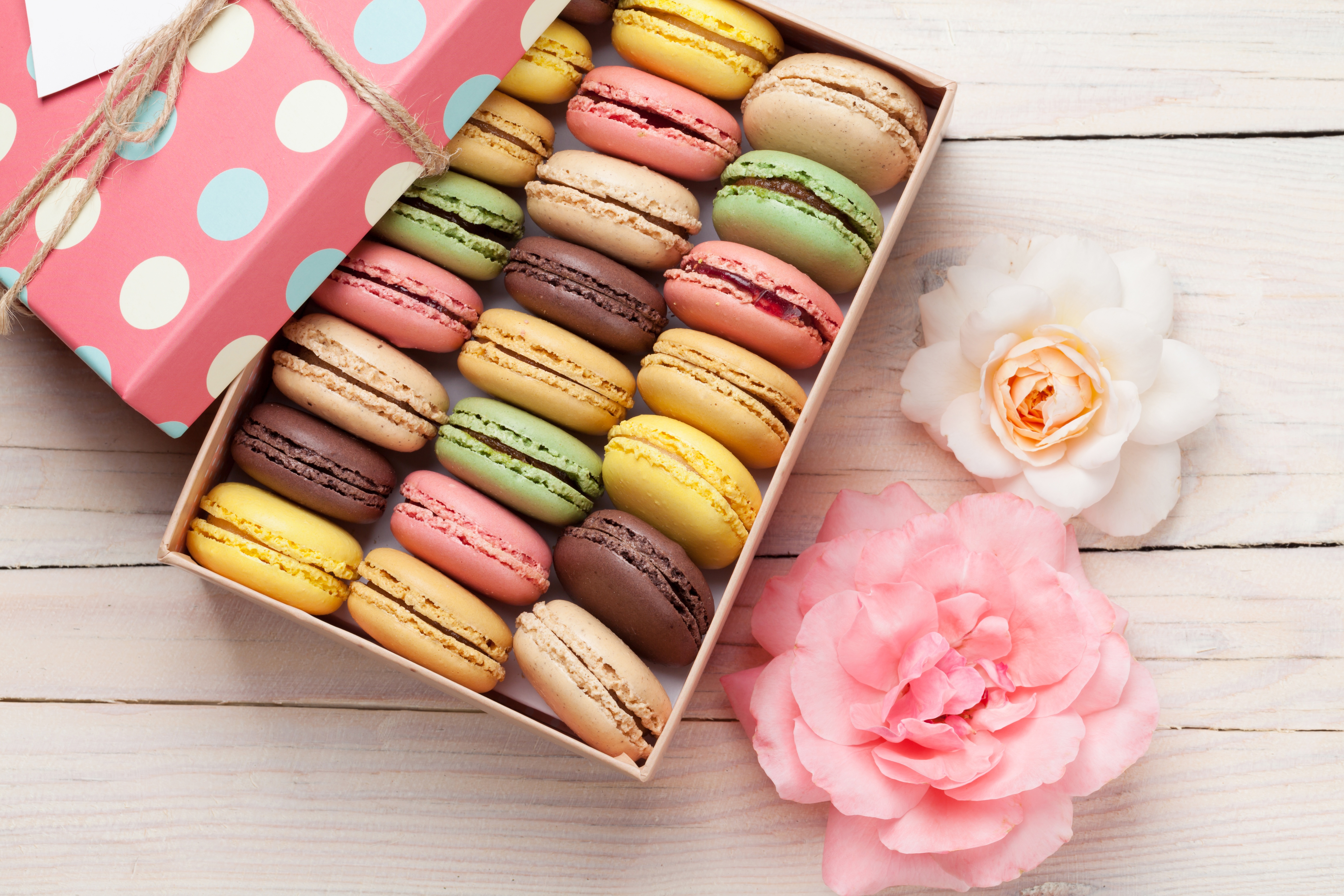 Free download wallpaper Food, Still Life, Flower, Colors, Gift, Sweets, Macaron on your PC desktop