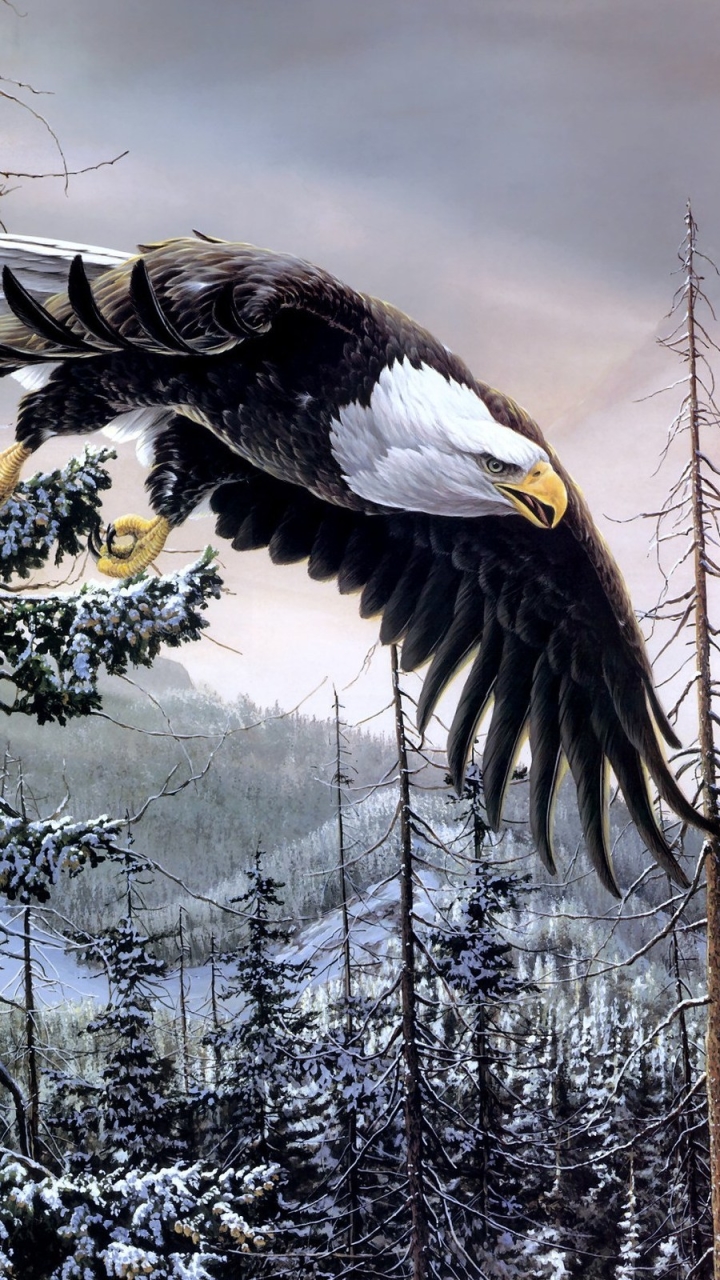 Download mobile wallpaper Birds, Animal, Bald Eagle for free.