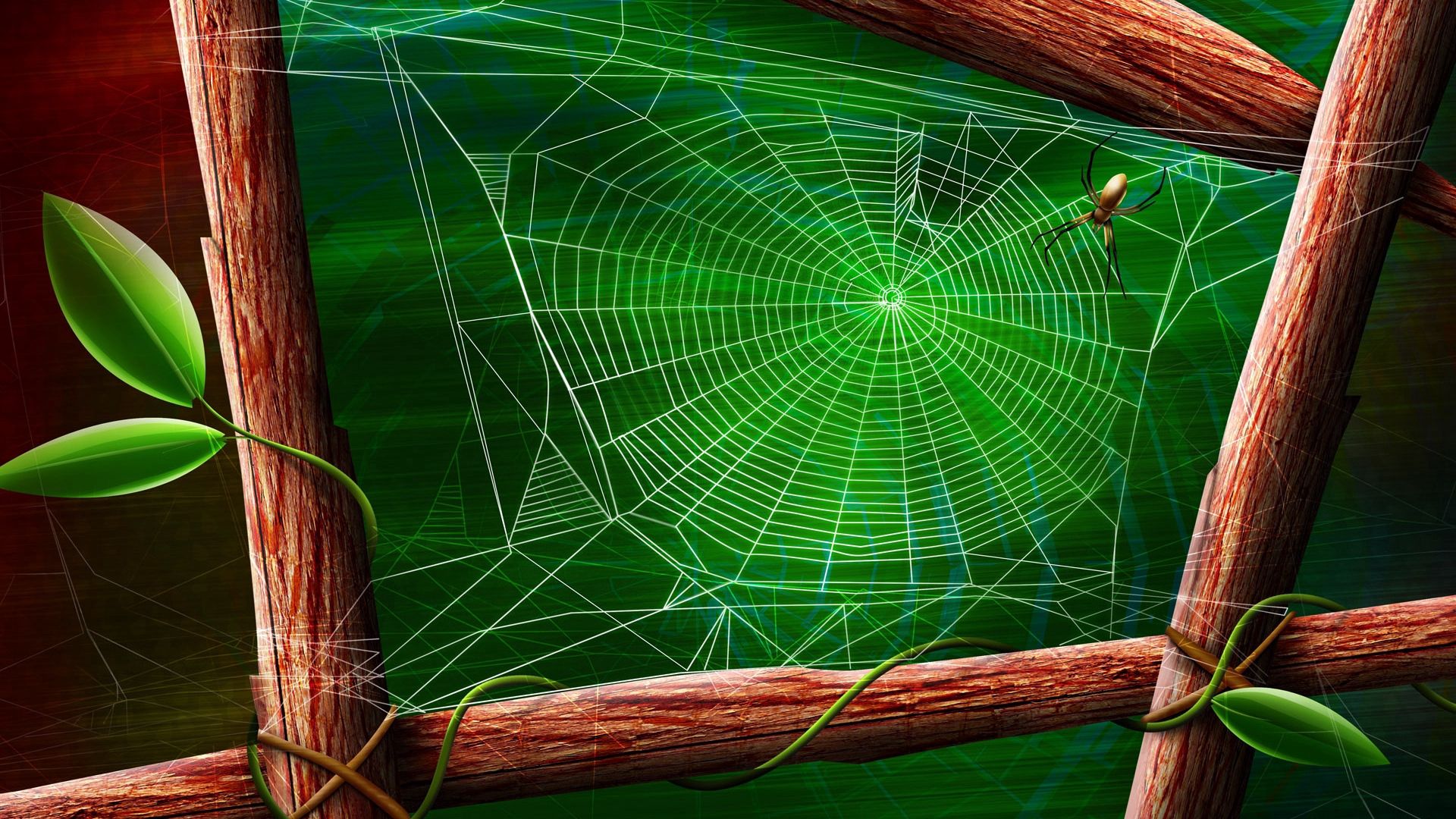 Free download wallpaper Leaves, Wood, Branches, Web, Wooden, Spider, Vector on your PC desktop