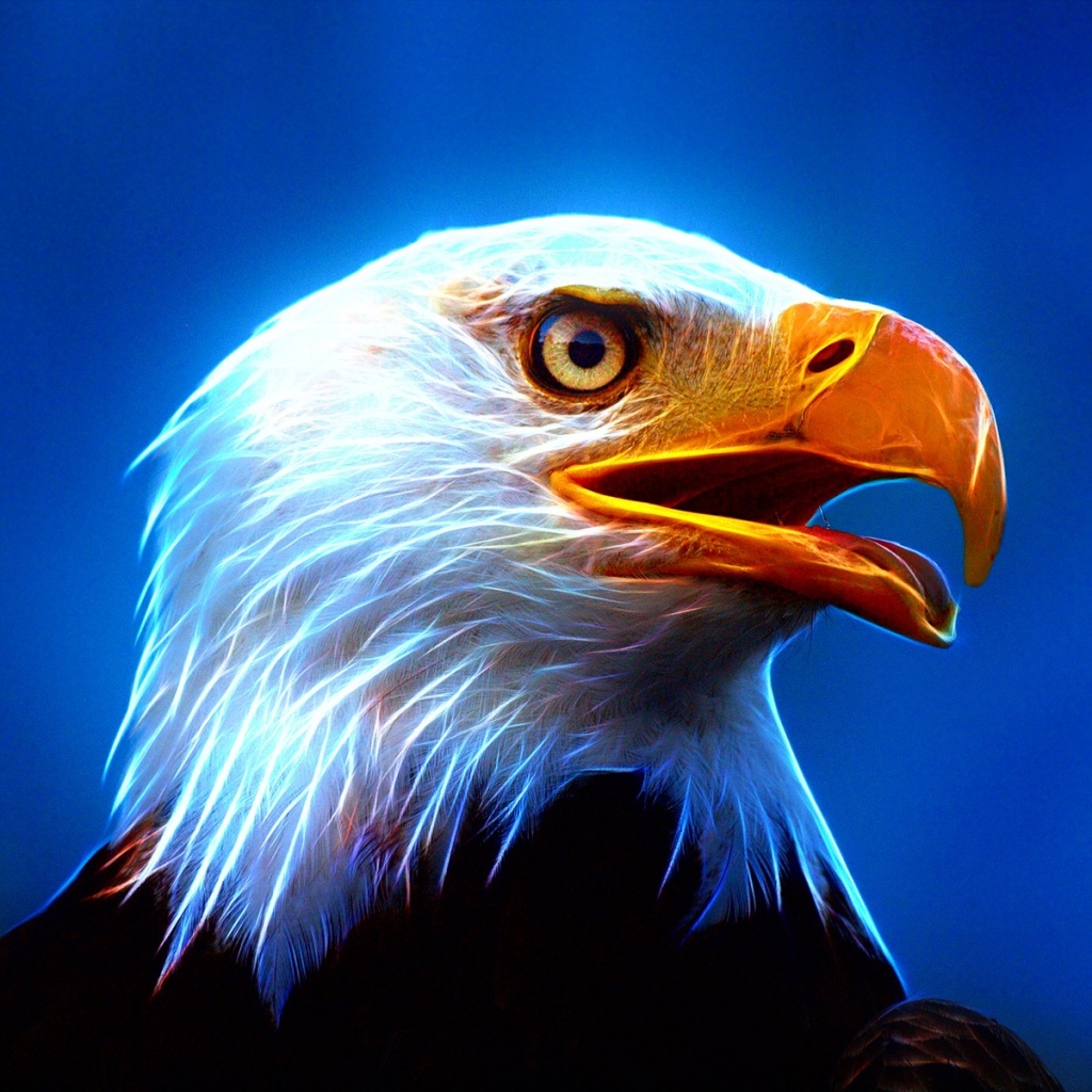 Download mobile wallpaper Birds, Bird, Animal, Eagle, Bald Eagle, Cgi for free.