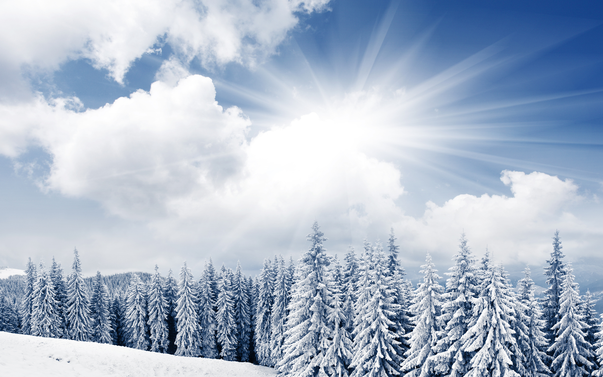 無料モバイル壁紙雪, 冬, 森, 山, 地球をダウンロードします。