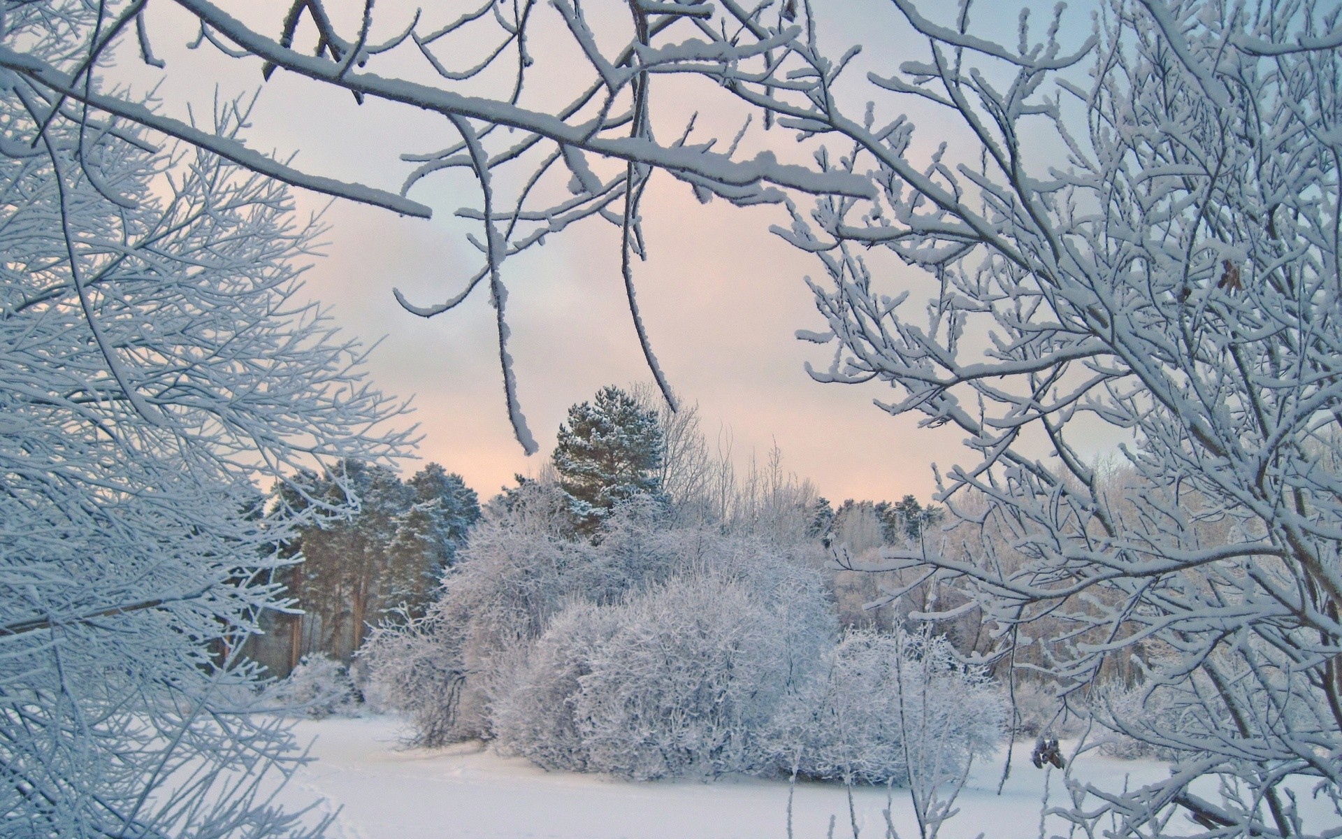 Téléchargez gratuitement l'image Hiver, Terre/nature sur le bureau de votre PC