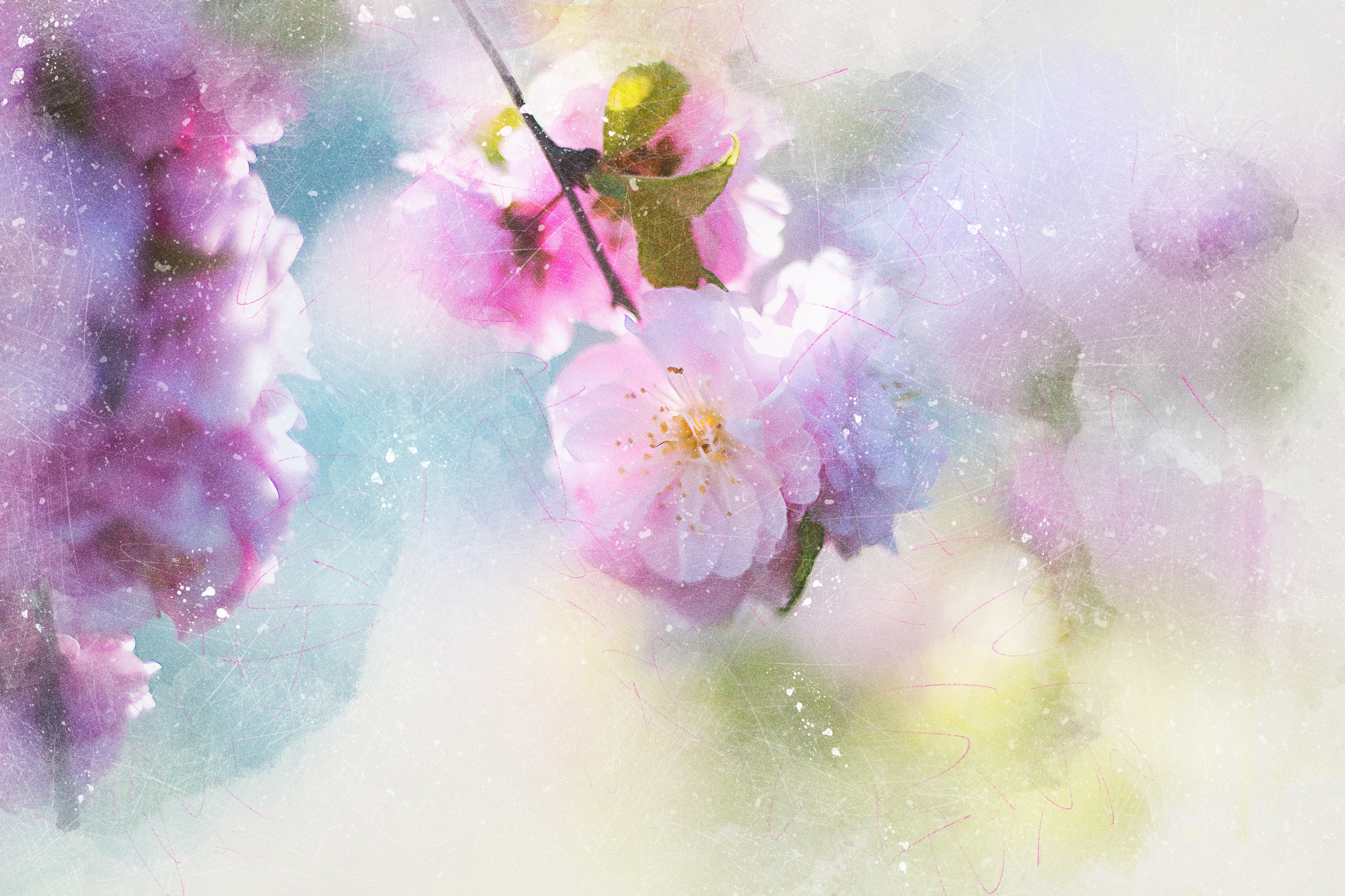 Laden Sie das Frühling, Kirschblüte, Künstlerisch-Bild kostenlos auf Ihren PC-Desktop herunter