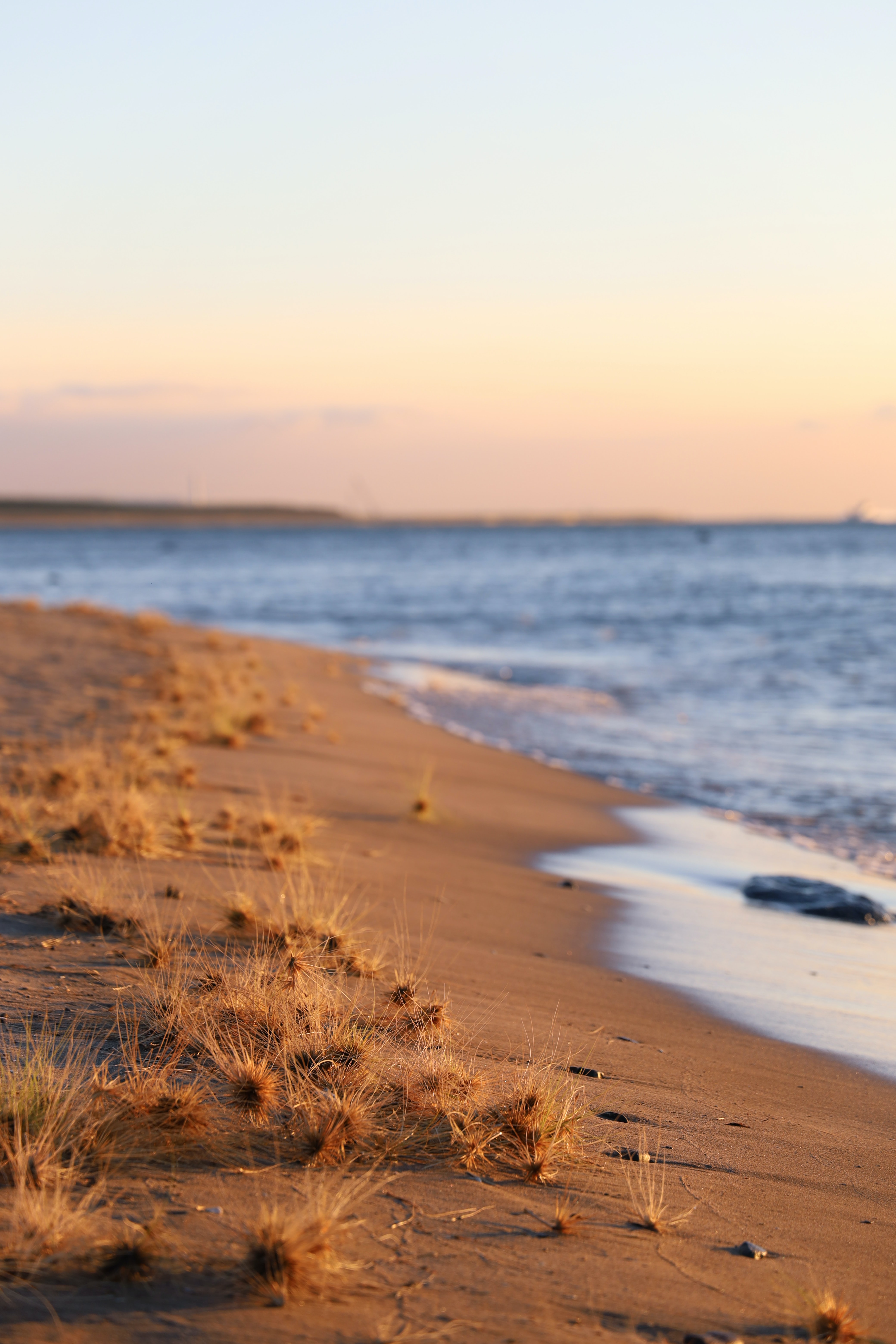 Laden Sie das Grass, Sea, Horizont, Küste, Natur, Strand-Bild kostenlos auf Ihren PC-Desktop herunter
