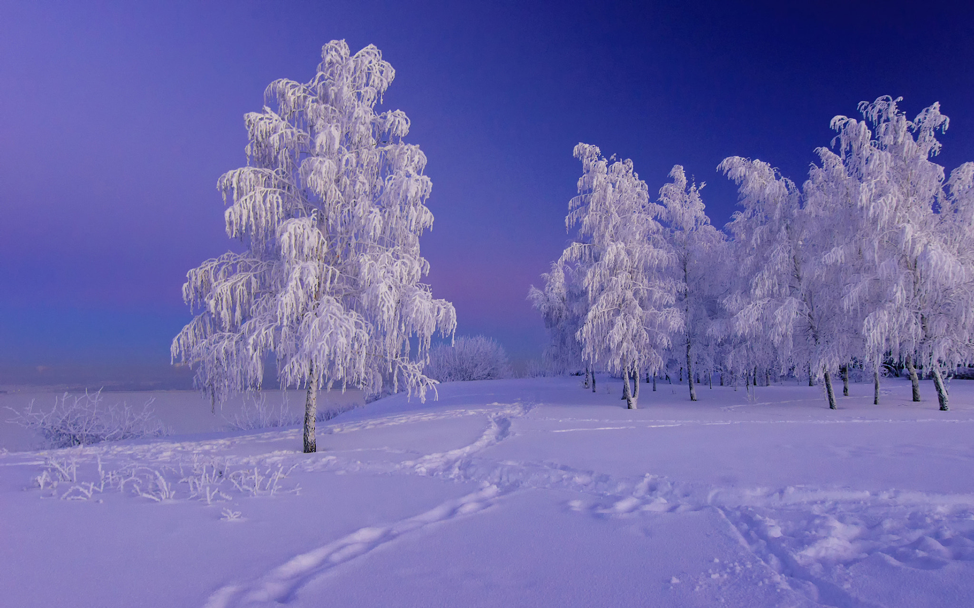 Download mobile wallpaper Landscape, Winter, Nature, Snow, Tree, Earth, Frost for free.