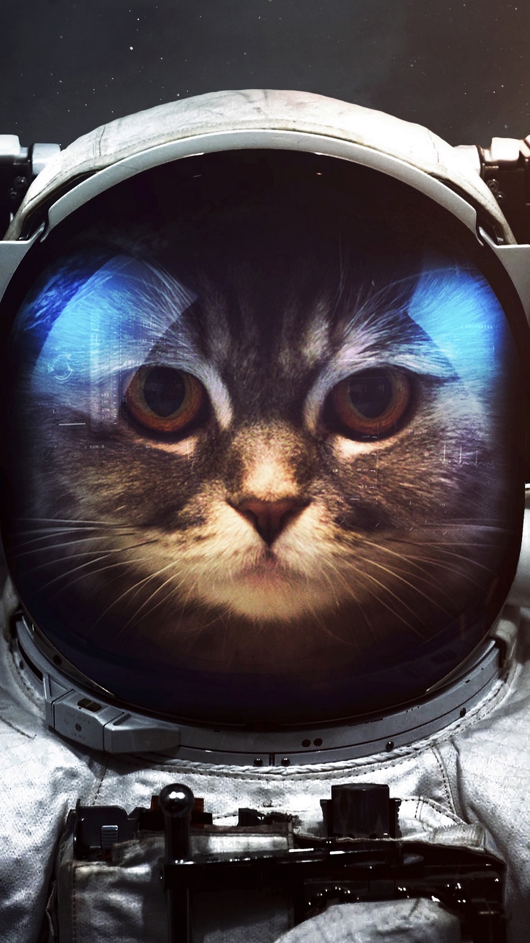 Handy-Wallpaper Katze, Science Fiction, Raumanzug, Astronaut kostenlos herunterladen.