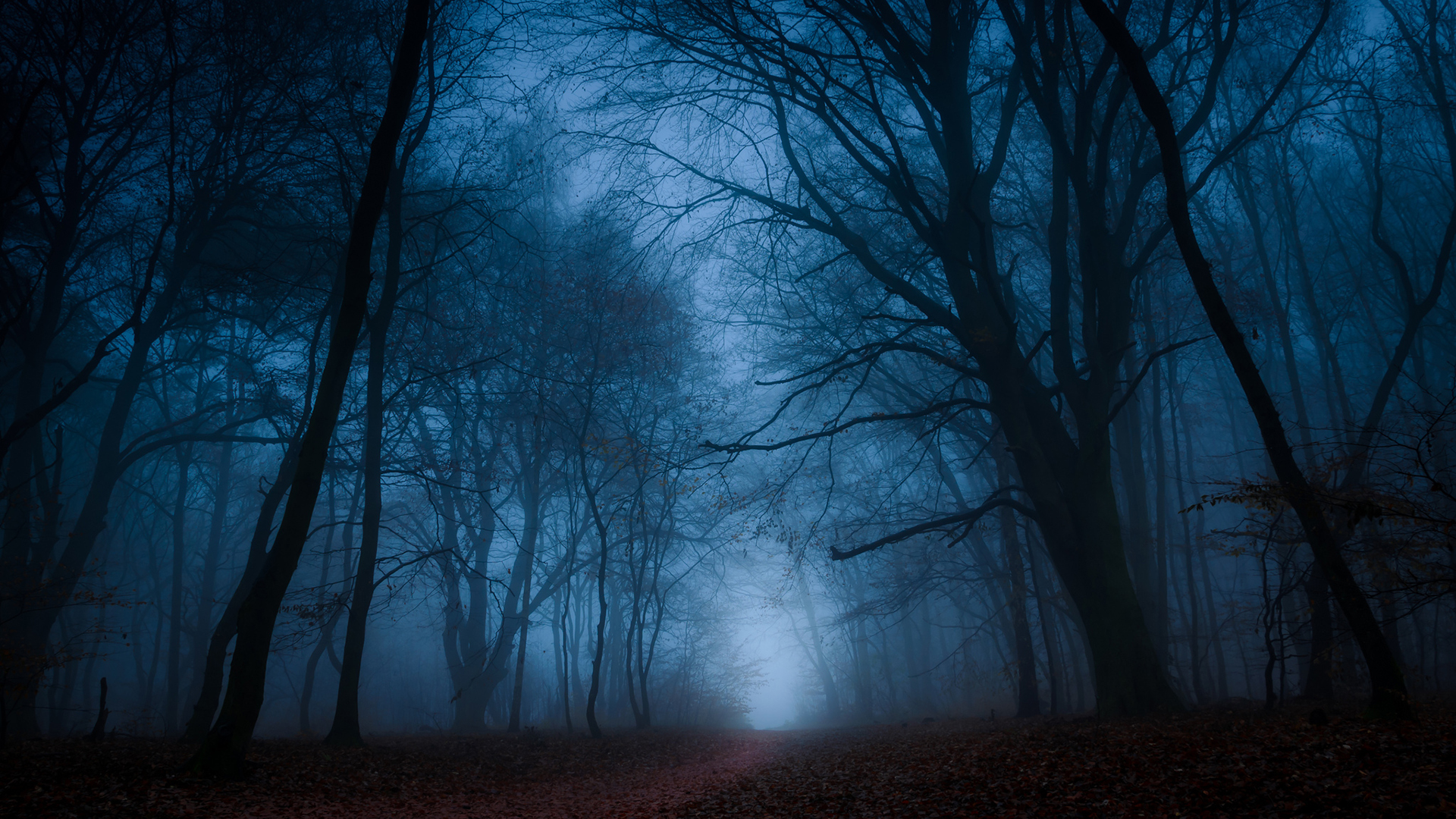 Téléchargez gratuitement l'image Brouillard, Terre/nature sur le bureau de votre PC