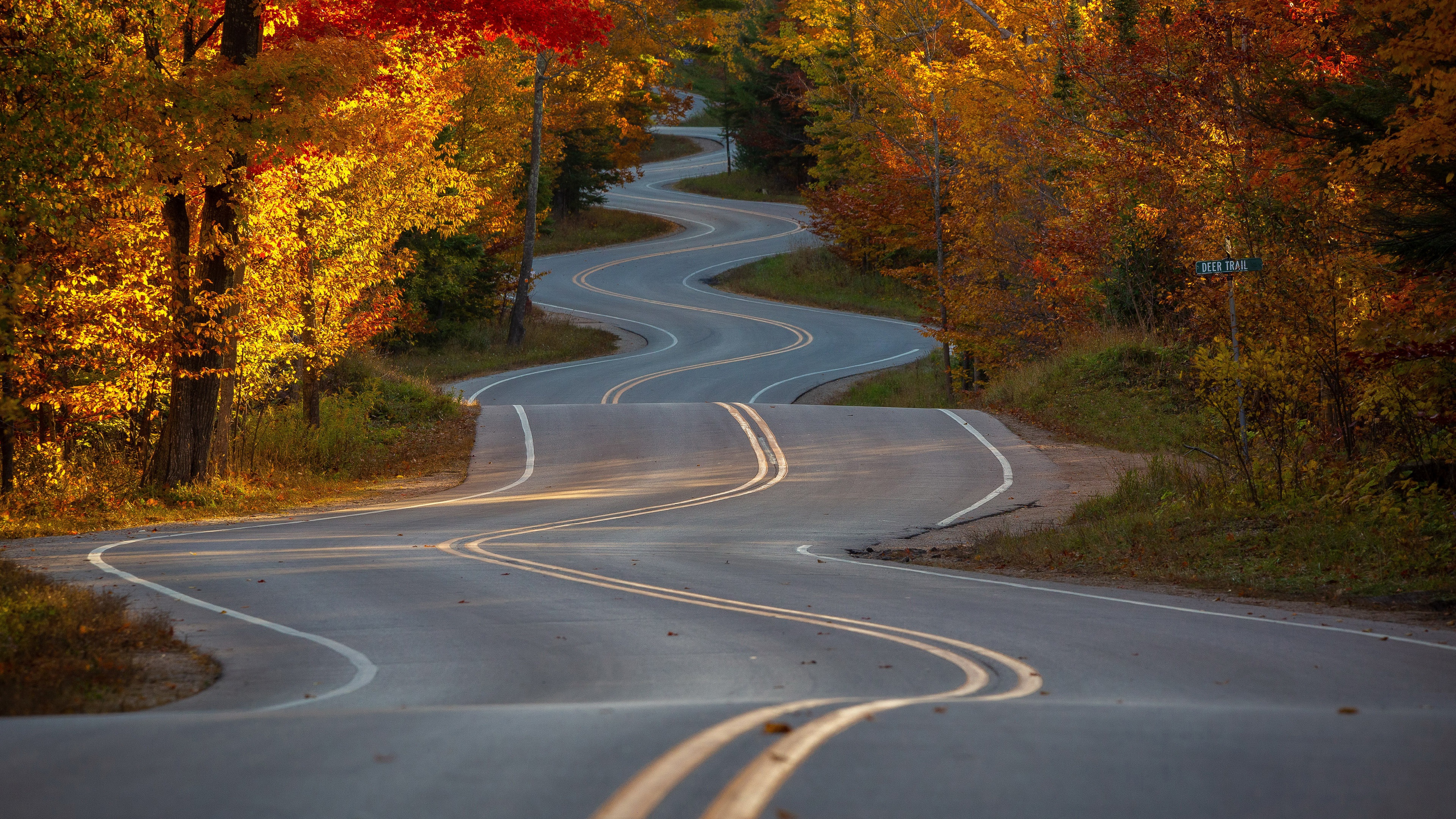 Free download wallpaper Road, Forest, Fall, Man Made on your PC desktop