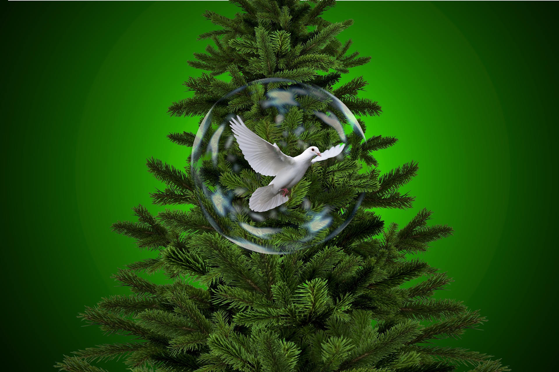 Free download wallpaper Birds, Tree, Christmas, Animal, Dove, Bauble on your PC desktop