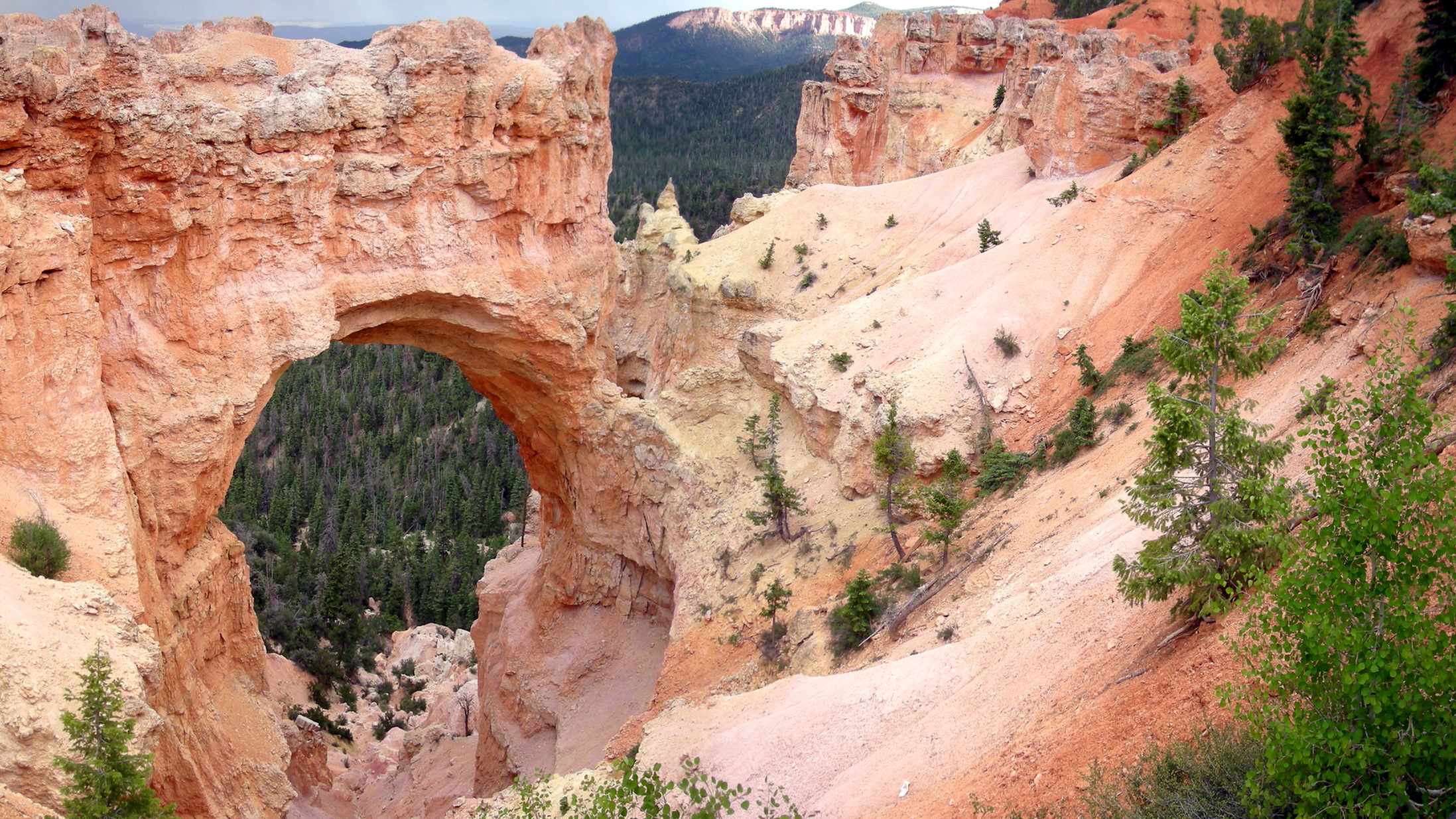 Descarga gratis la imagen Paisaje, Tierra/naturaleza en el escritorio de tu PC