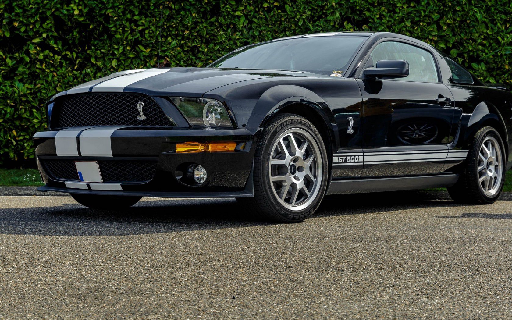 cars, side view, gt500, shelby