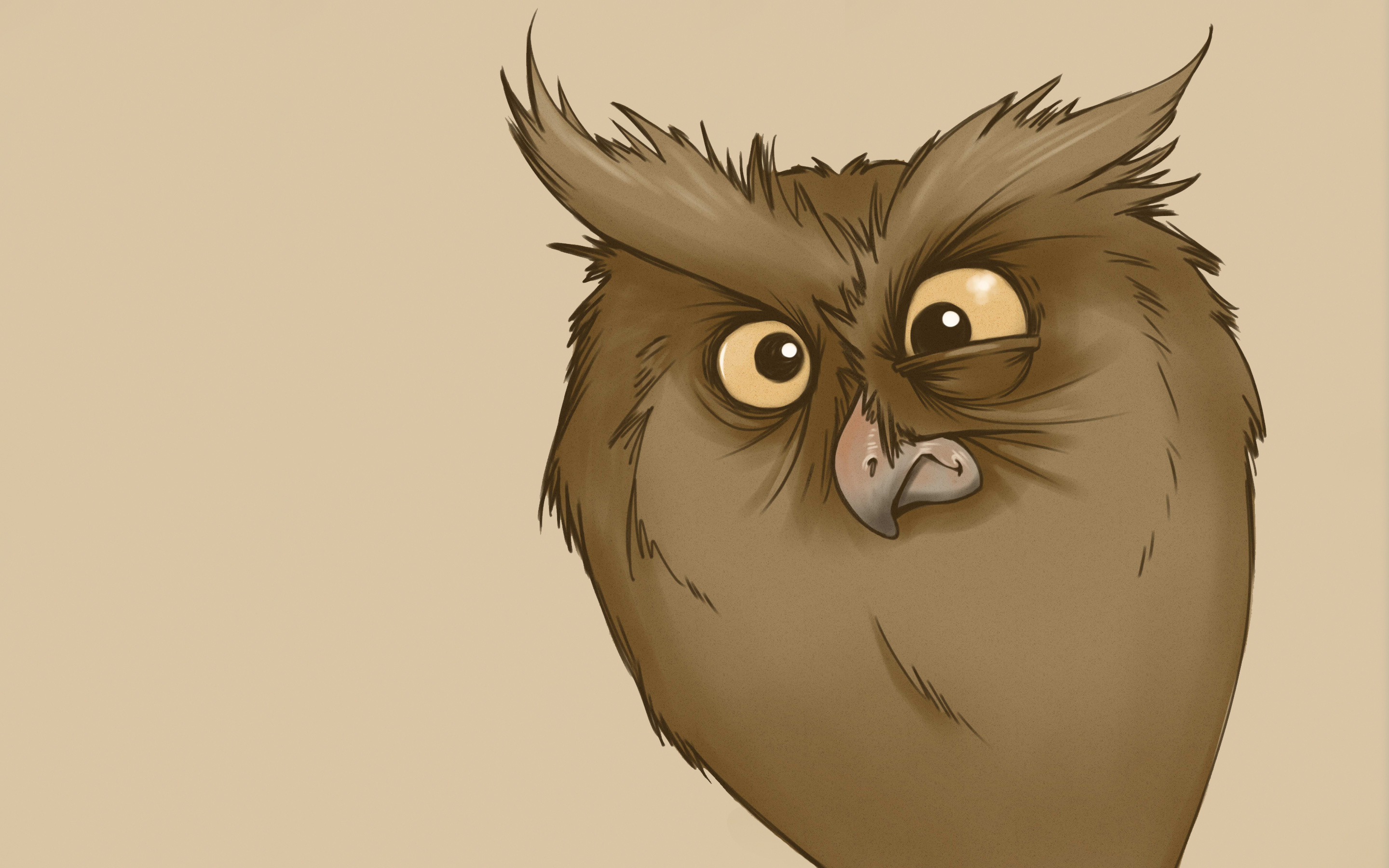 owl, vector, picture, drawing, sight, opinion, surprise, astonishment