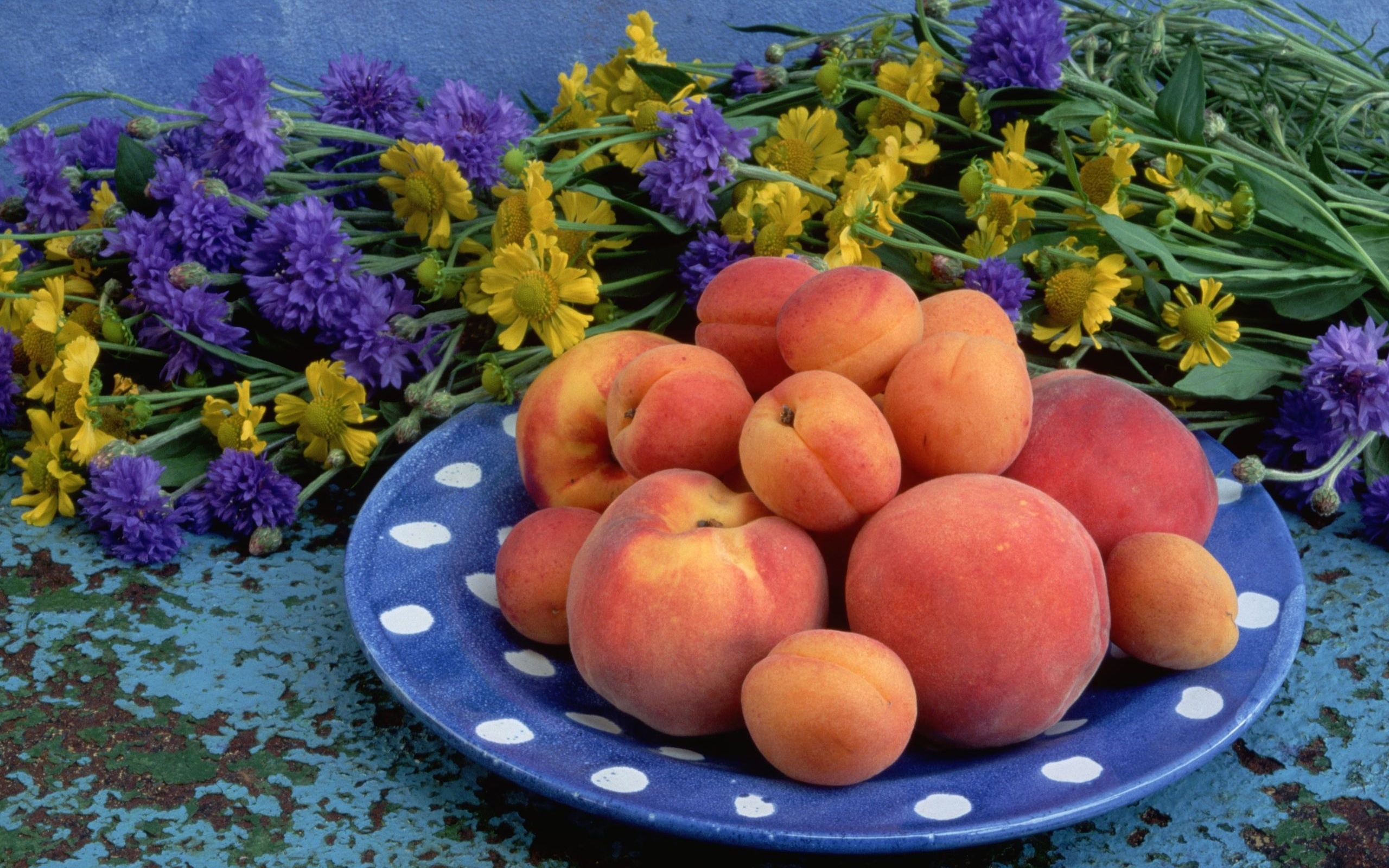 280764 завантажити шпалери харчування, фрукти, абрикос, персиковий - заставки і картинки безкоштовно