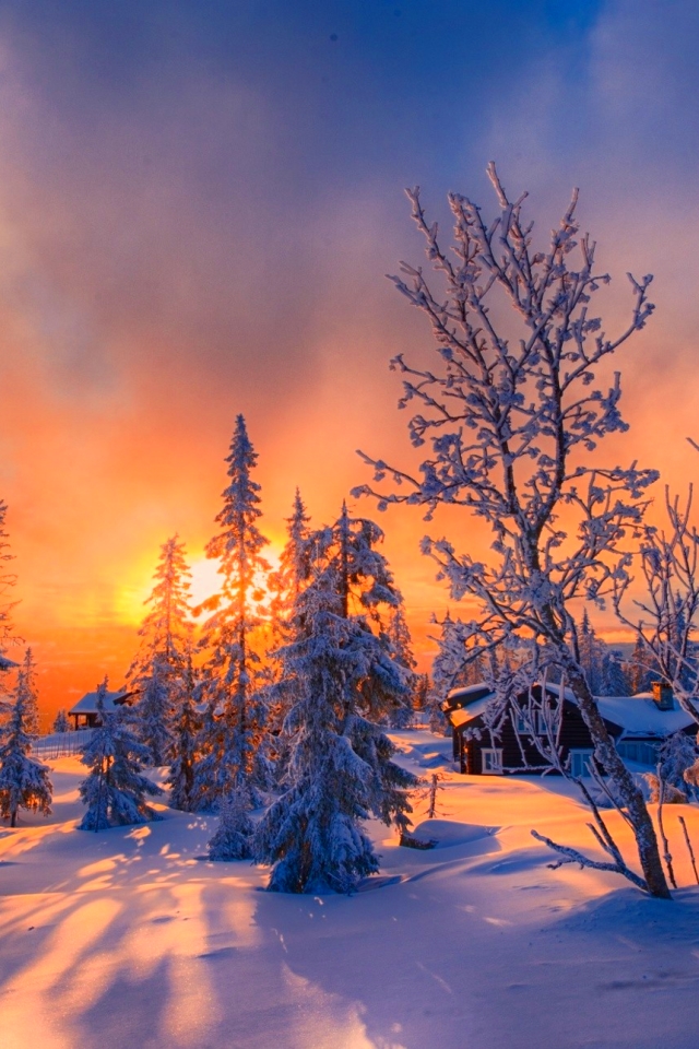 Скачать картинку Зима, Закат, Снег, Дерево, Фотографии, Закат Солнца в телефон бесплатно.