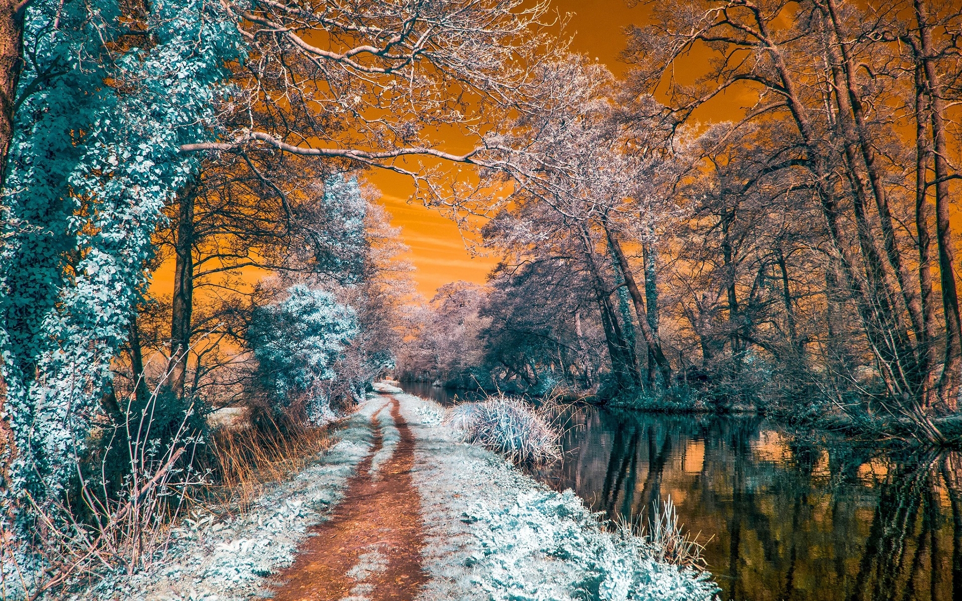 Download mobile wallpaper Winter, Sunset, Snow, Tree, Earth, Path, River for free.