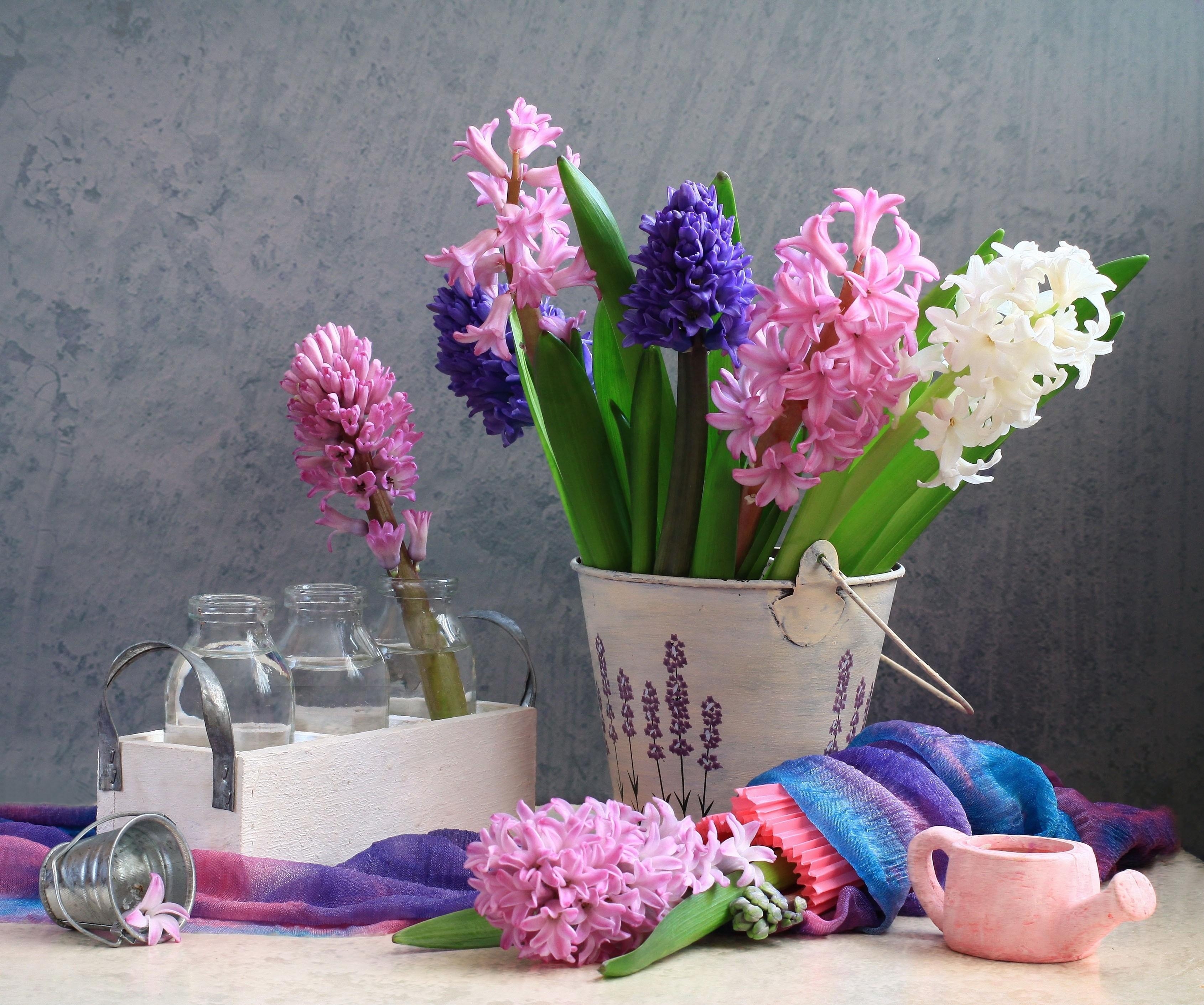 still life, spring, flowers, bottle, bottles, hyacinths, bucket, watering can HD wallpaper