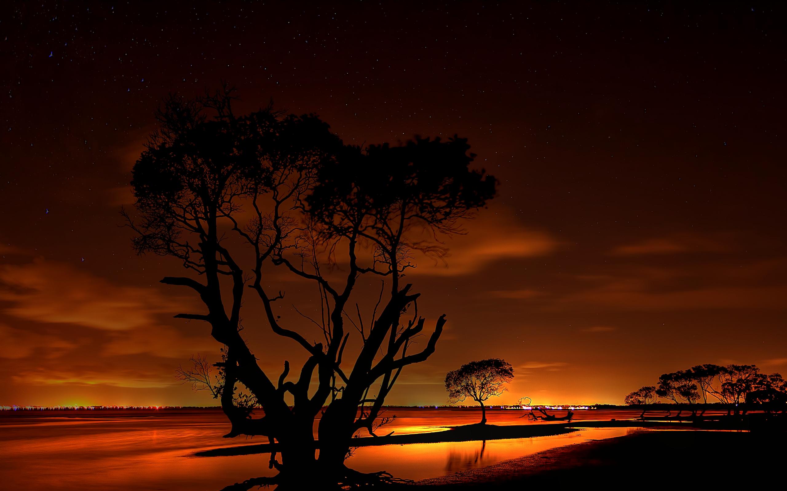 Free download wallpaper Nature, Sunset, Sky, Silhouette, Tree, Earth, Orange (Color) on your PC desktop